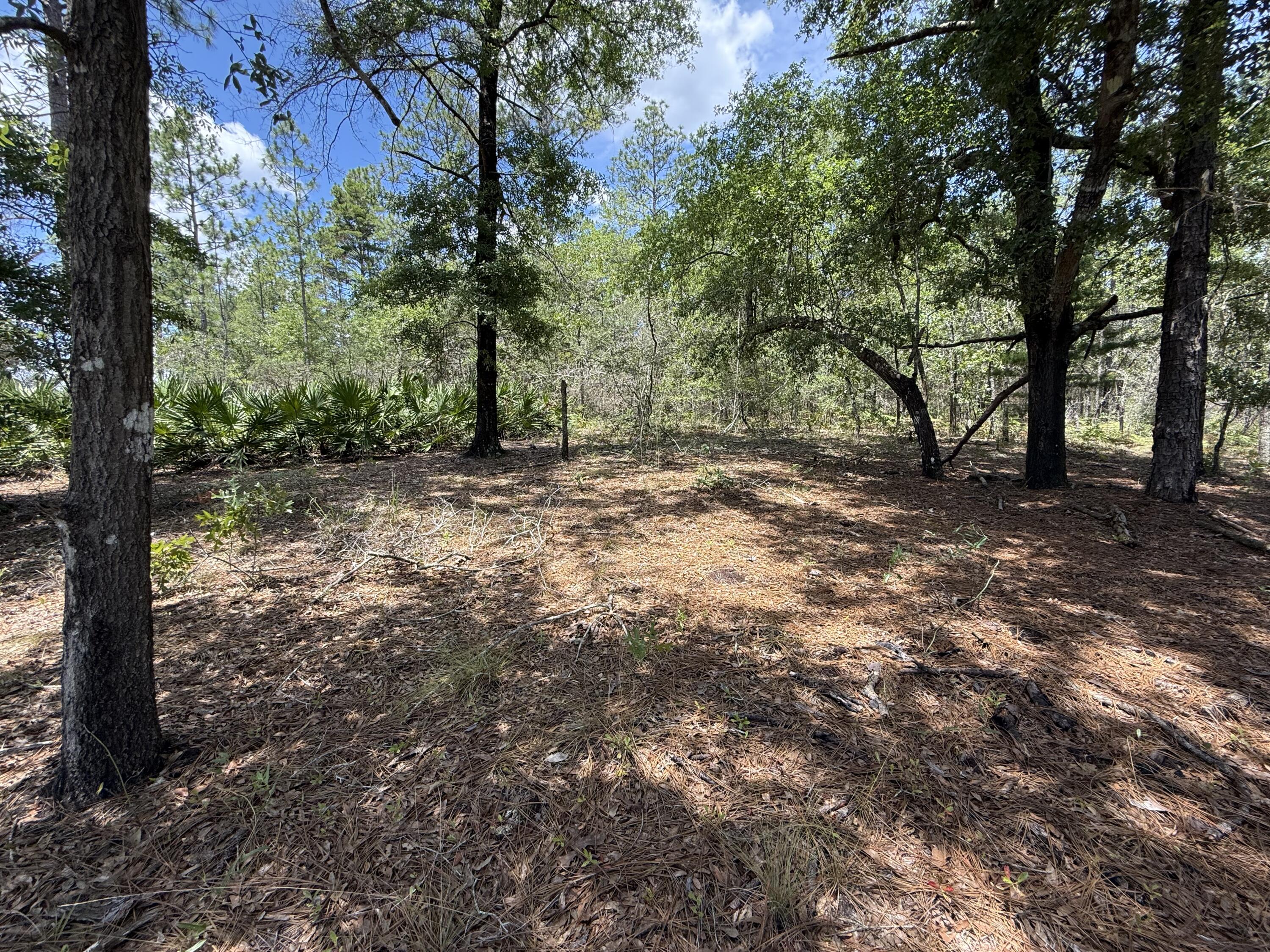 Opportunity awaits! Beautiful wooded 1/2 acre in the growing area of Oakwood Hills, an area which is currently being development by numerous builders. Zoning is Rural Residential / Low Density which allows Single family residential, manufactured / mobile homes, and modular homes. This property is Flood zone X per the county. Lot 38 (1 acre) is available separately under MLS # 992588. Enjoy easy access to I-10, making it n excellent location for commuting in any direction, with most workplaces reachable within approximately 30-45 minutes. Plus, you're approximately 35 miles from the beautiful turquoise water & white-sand beaches of Florida's famous Emerald Gulf Coast, including 30A and the majestic Crab Island. Buyer needs to verify building codes, zoning regulations, wetlands and flood zones, etc with proper local authorities to ensure buyer will be able to utilize the property for intended use.
Information contained within this listing is deemed to be accurate, but is not guaranteed.