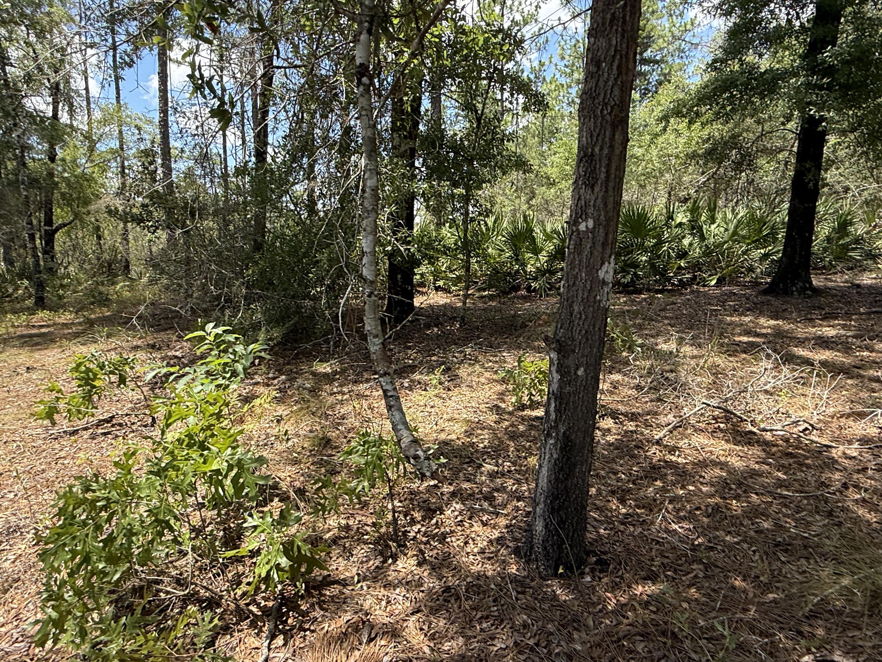 Oakwood Hills Unit I - Land