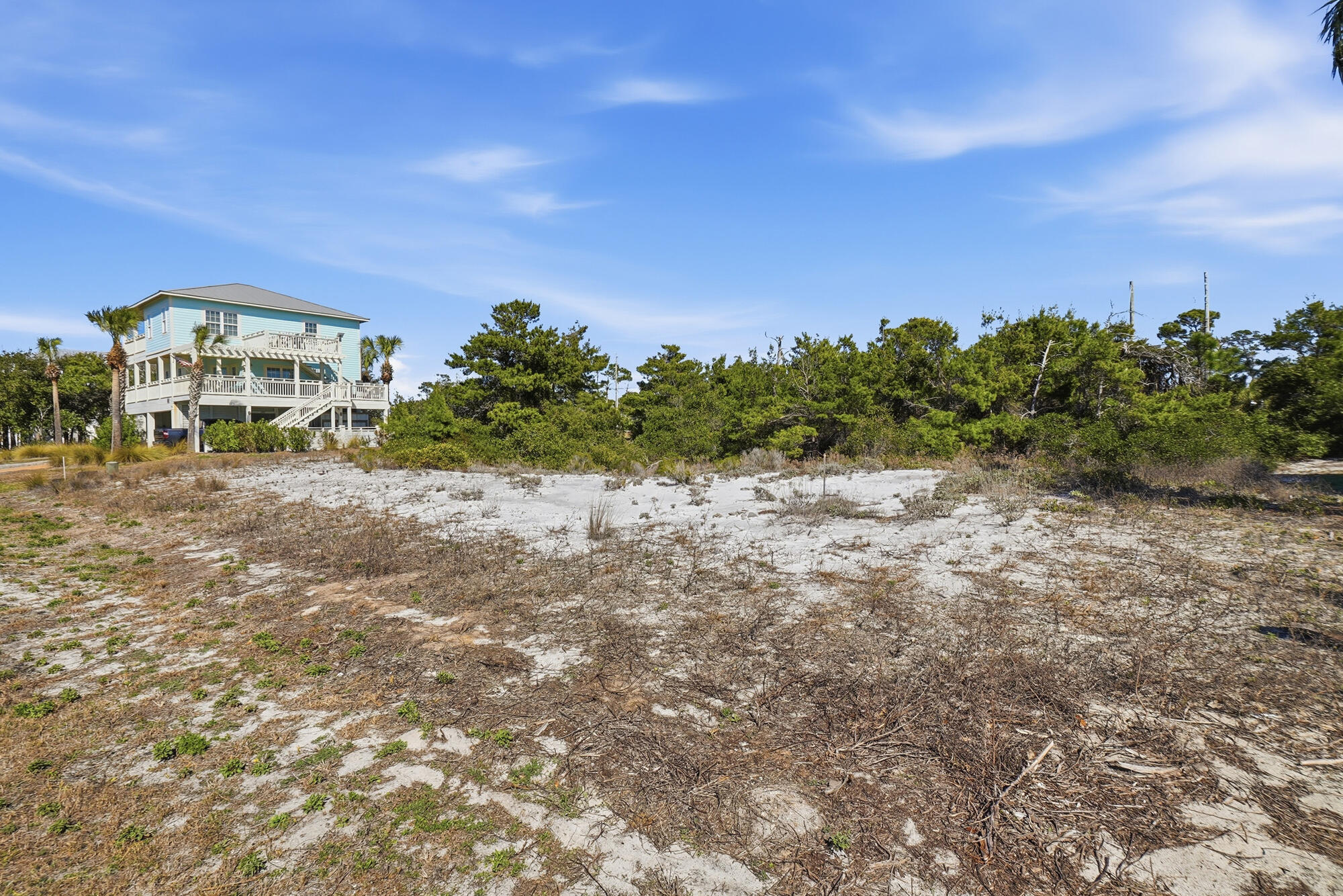 Seagrass - Land