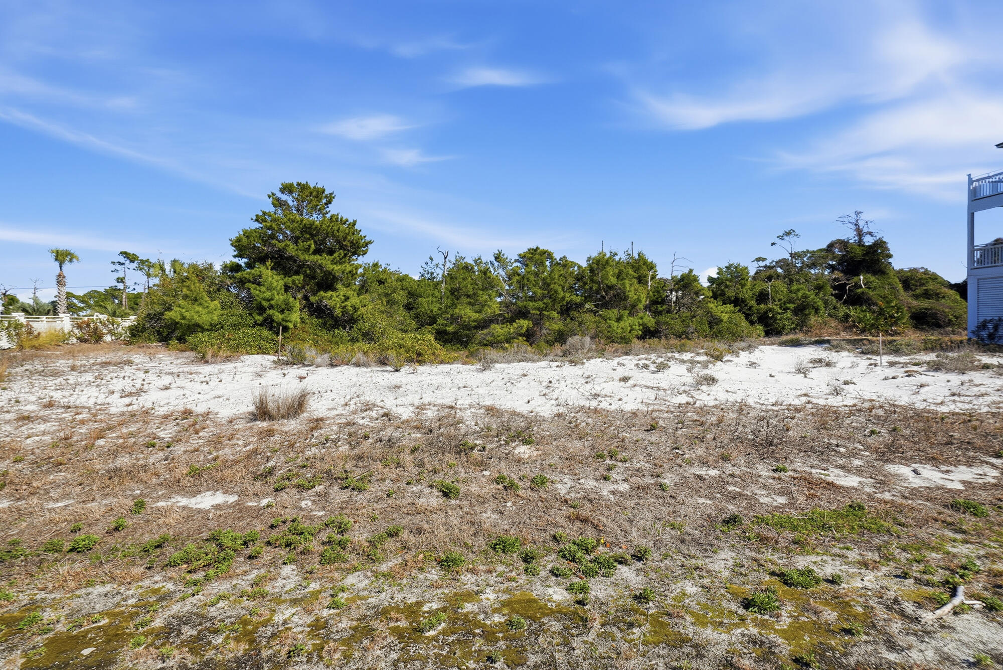 Seagrass - Land