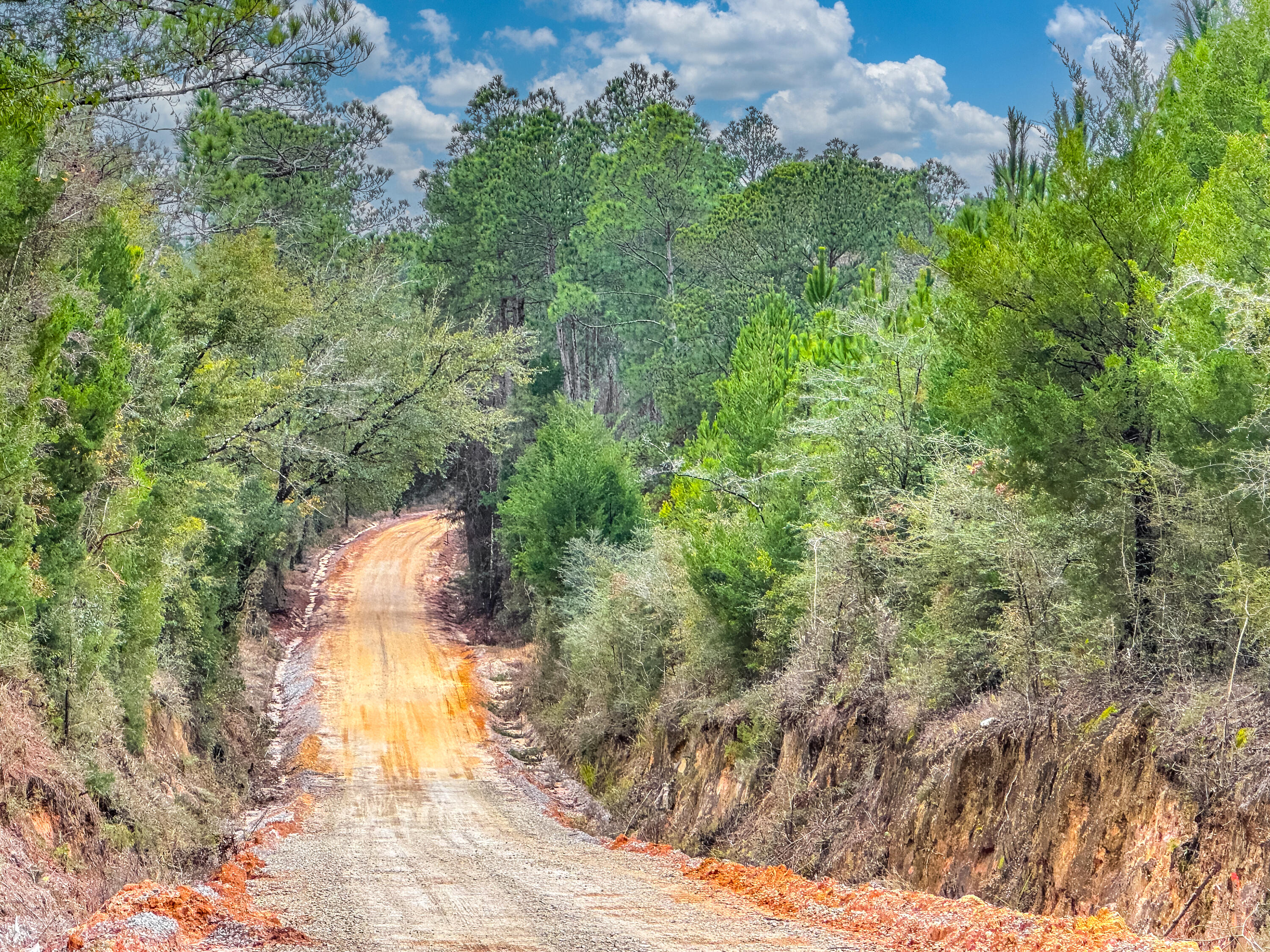 Dream Location for Country Living or Hunters Paradise either way you won't want to miss this opportunity! This Beautiful 200 +/- Acres of prime land with older pines maybe 2-3 years replanted on a dirt rd with power available! . Use caution as it is hunting season! Bring your build plans, hunting gear, Horses and ATVS LOCATION LOCATION!!!! This Property has Easy Access to Panama City Beaches I-10, Hwy 79, Hwy 81, and Hwy 90.