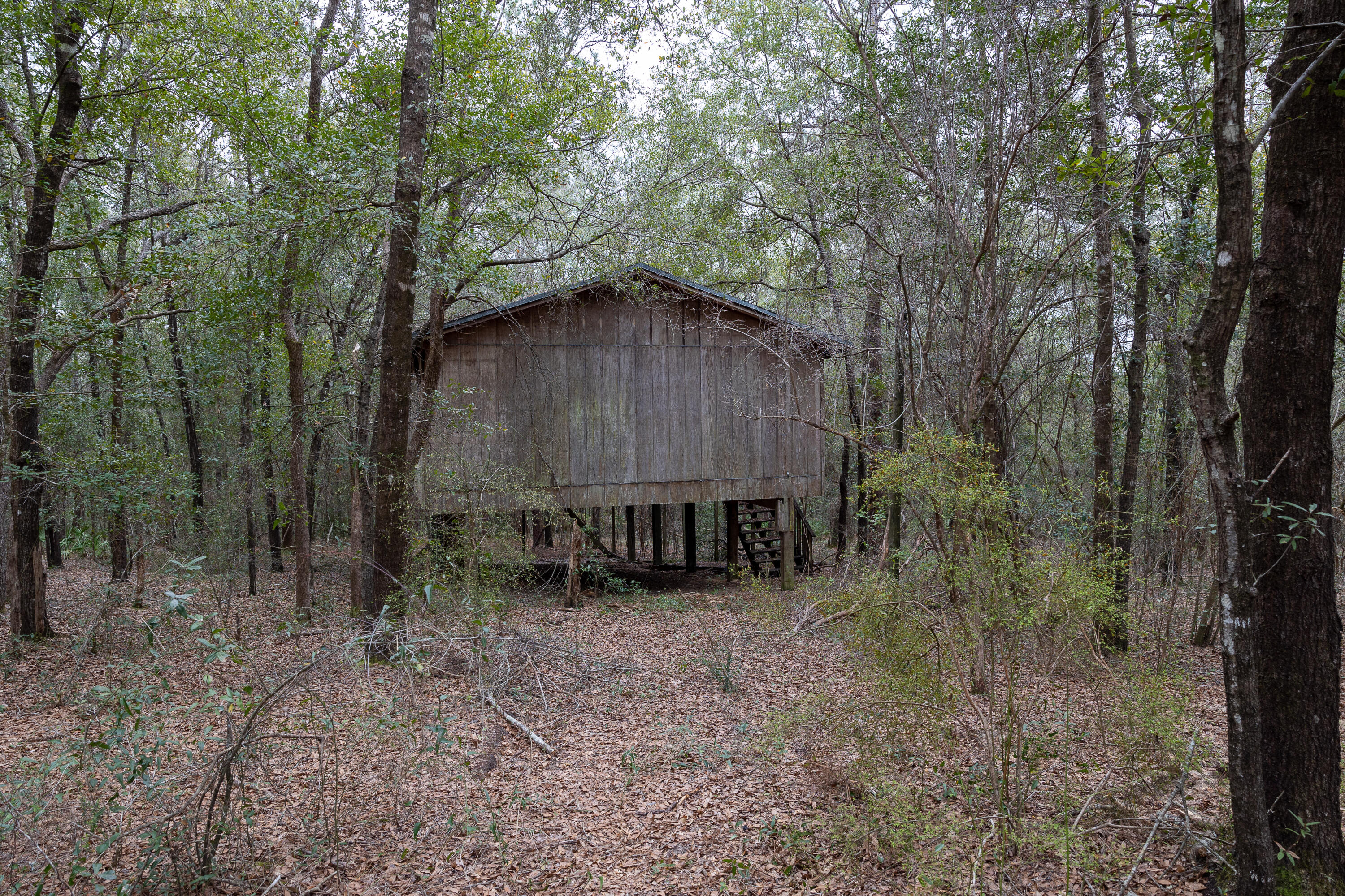 HOLT - Land