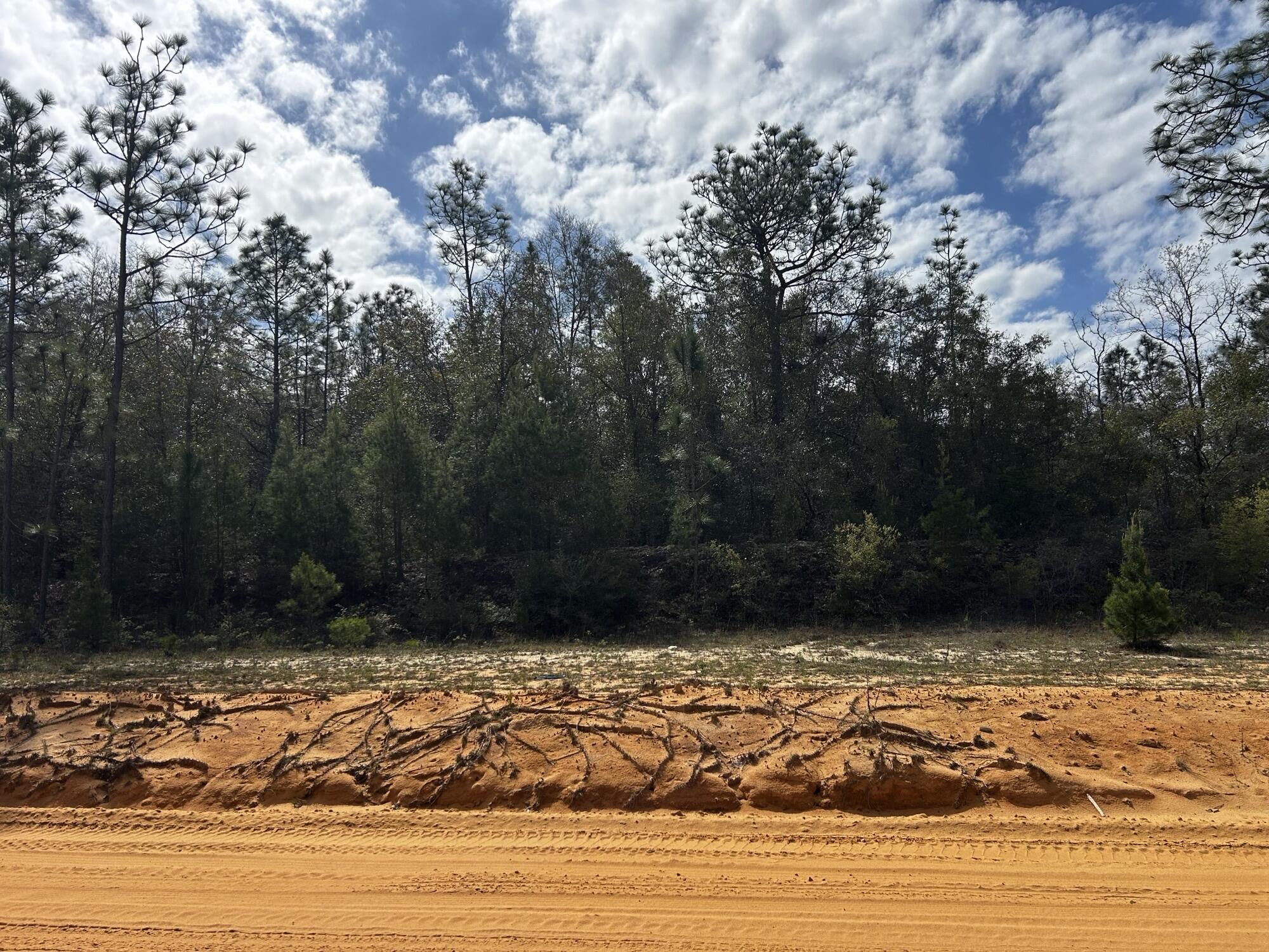 High and Dry Buildable Lot in the Sunny Hills Community, an established subdivision with over 20K lots currently being developed with several national builders. Subdivision offers an 18-hole golf course with clubhouse, numerous lakes with white sandy beaches for recreational activities such as swimming, boating, fishing, and best of all, NO HOA! Sunny Hills is located in Washington County between Panama City Beach and Chipley within the Vernon school district.  Seller has 4 more great buildable lots in Sunny Hills available for purchase, individually or in a package. All properties are vacant and undeveloped.