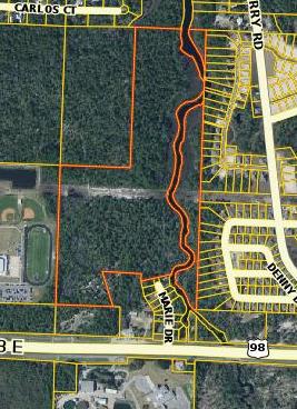 50 acre +- vacant parcel located in Point Washington across from Regional Utilities, The parcel fronts a natural creek (Peach Creek) that runs into the intracoastal, approximately 2500' of waterfront, great development parcel in the 6th fastest growing county in the nation, there is 15 acres owned by the same owner upfront that they may parcel out but will have access through it that is zoned VMU MOTIVATED SELLER. BRING ALL OFFERS.