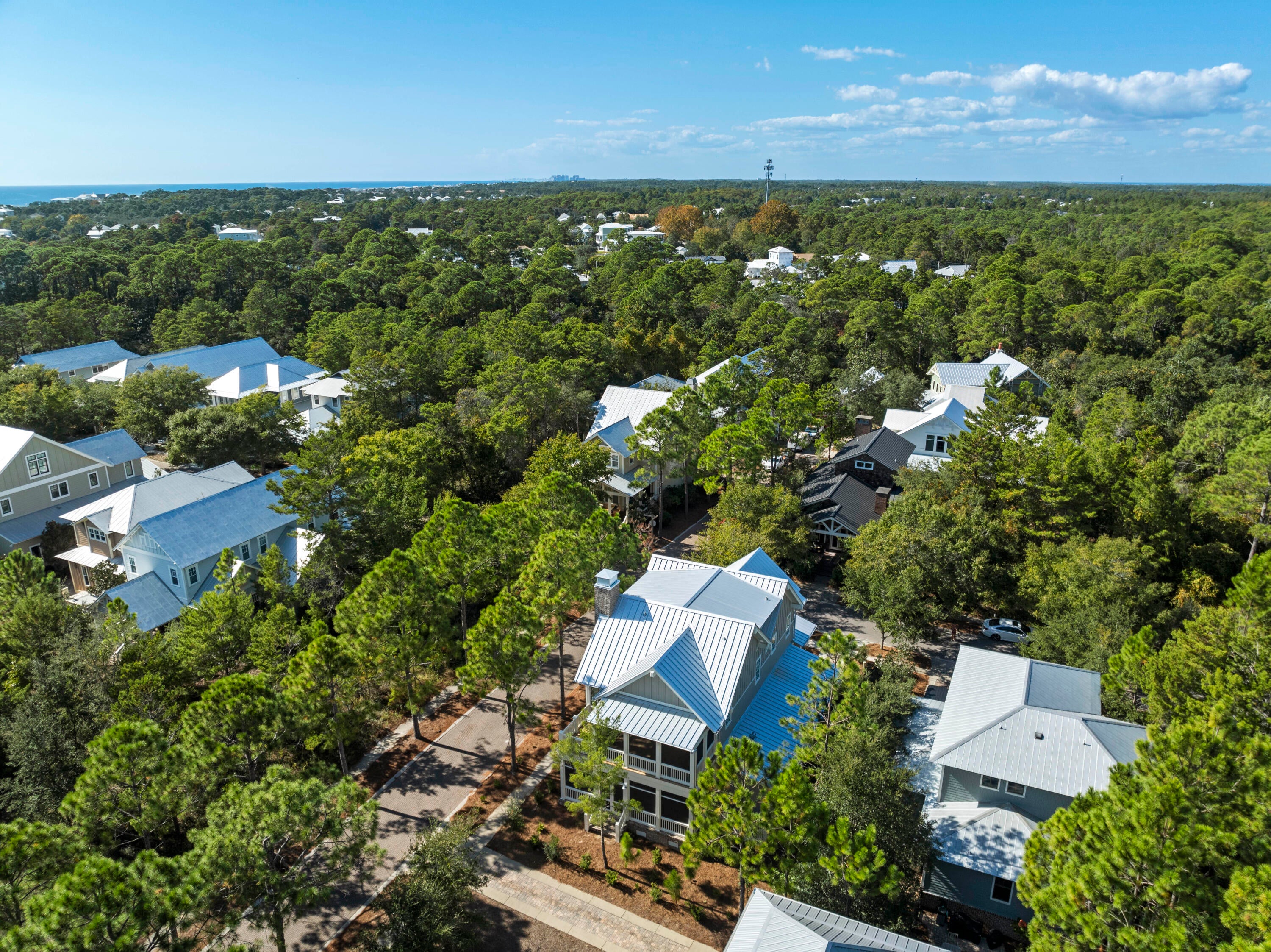 FOREST LAKES - Residential