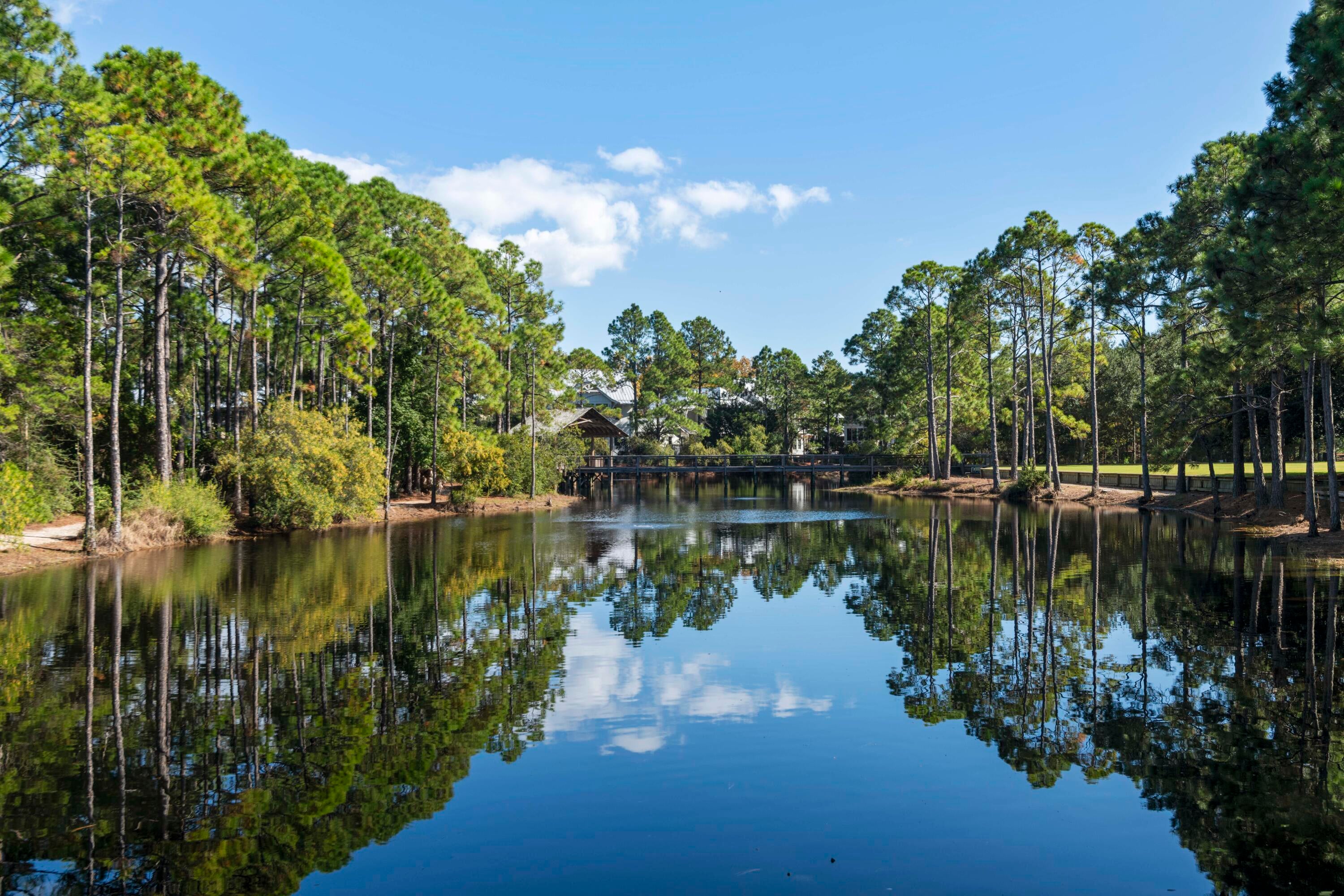 FOREST LAKES - Residential