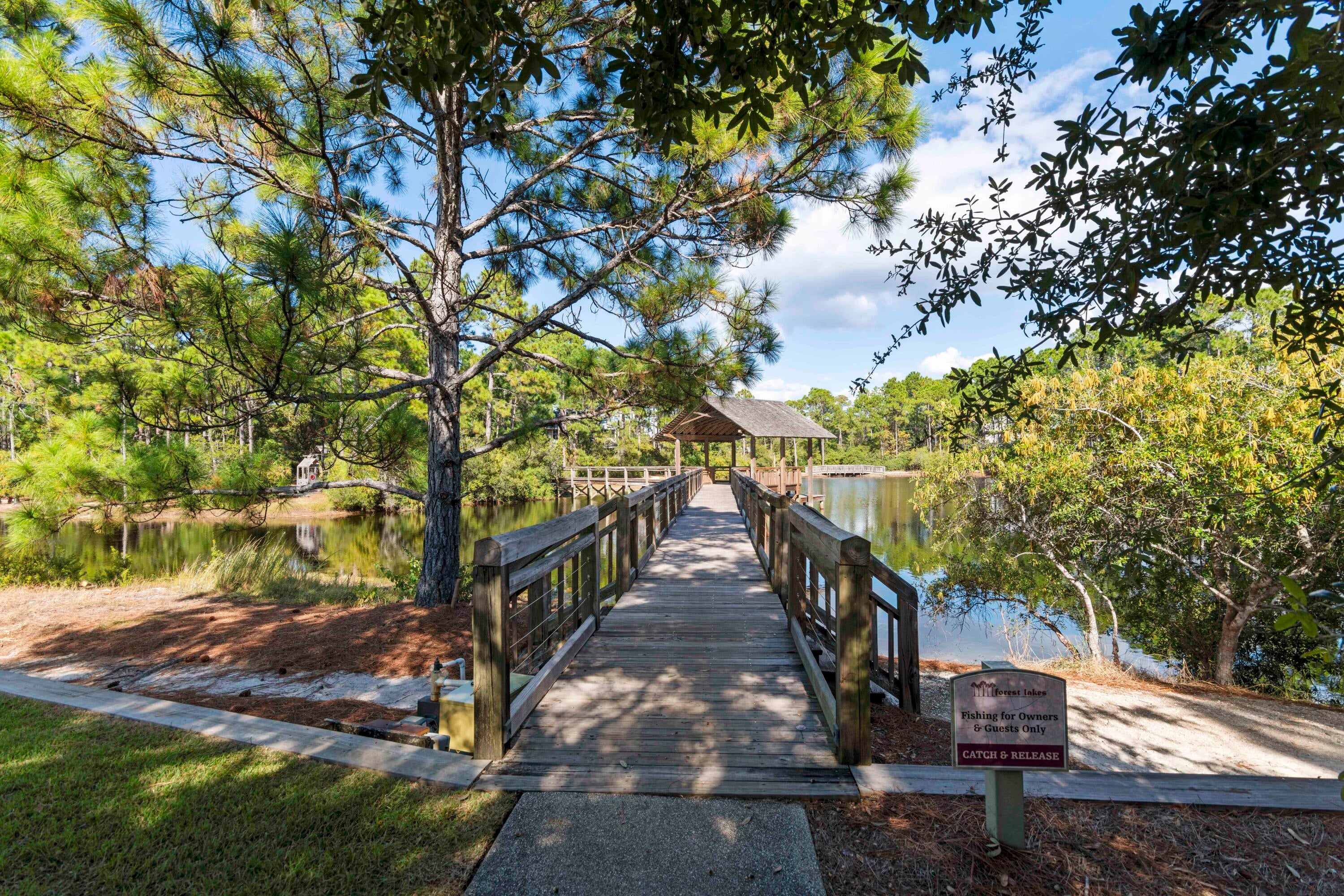 FOREST LAKES - Residential