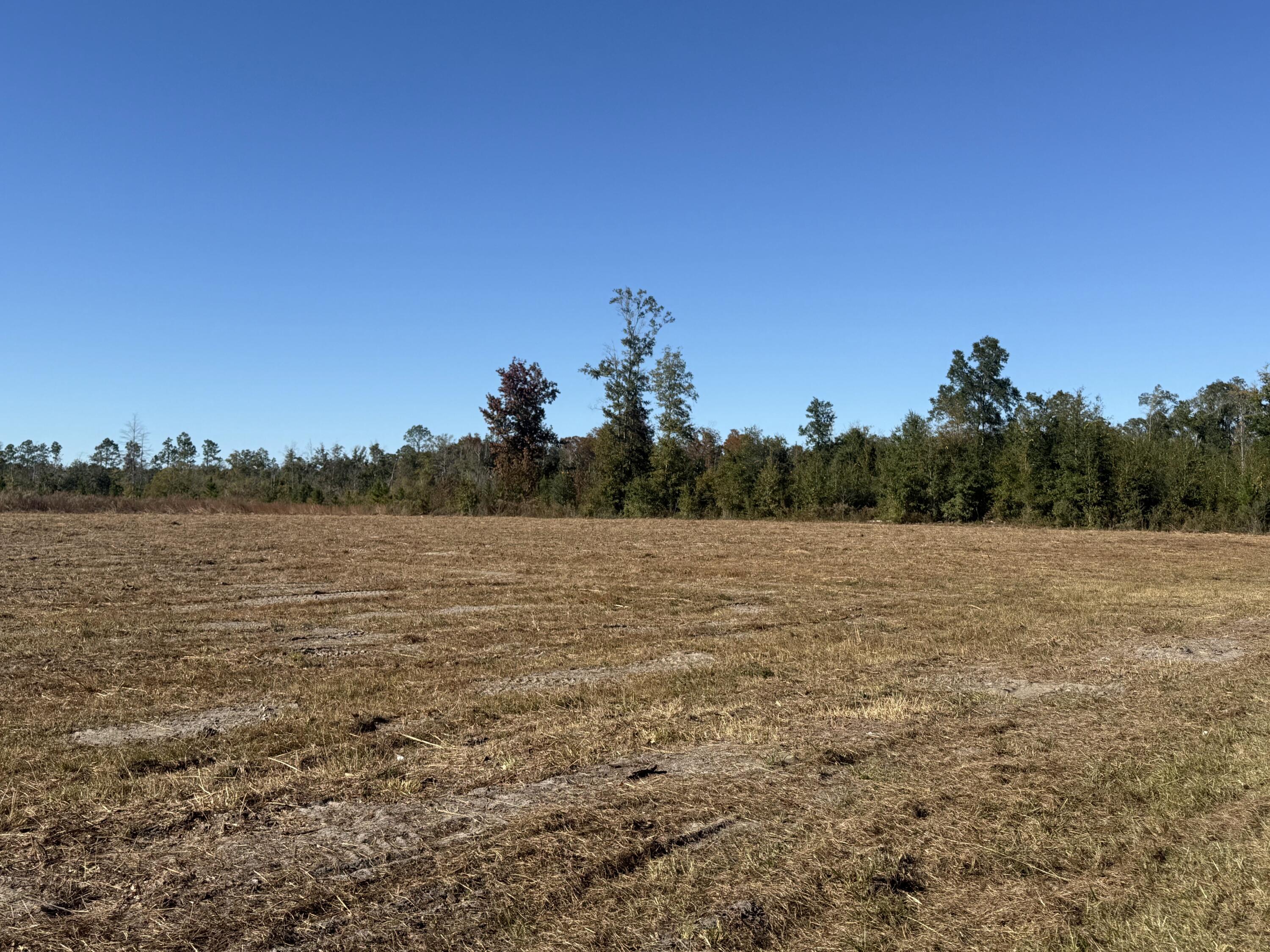 Two acres just 2 miles south of Wewahitchka with many possibilities. City water is adjacent to the property and other parcels are available as well. A rare opportunity to have substantial acreage at a great price near the city.  Lot is approved but not officially platted. Some photos are of the entire parent tract for reference only. Main photo is of the lot location. please see highlighted approved plat for dimensions.