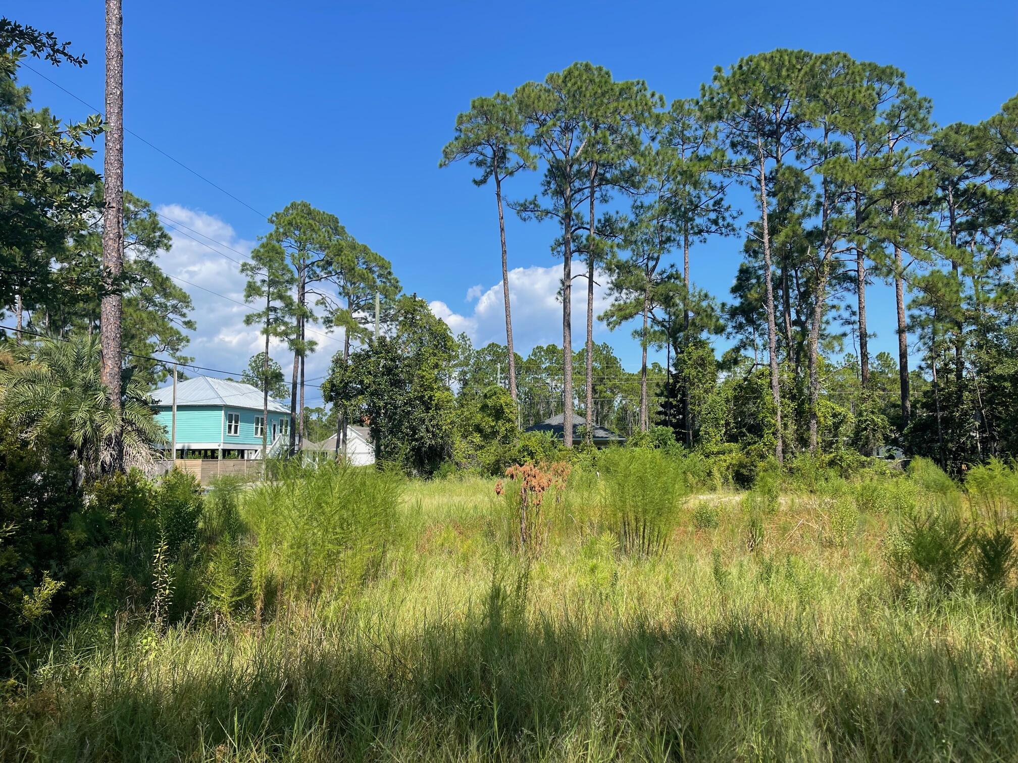 4 lots on 1st Steet.  Lots have been cleared and there is 1 water and sewer tap with lot 24 ( the corner lot)    House plans available.