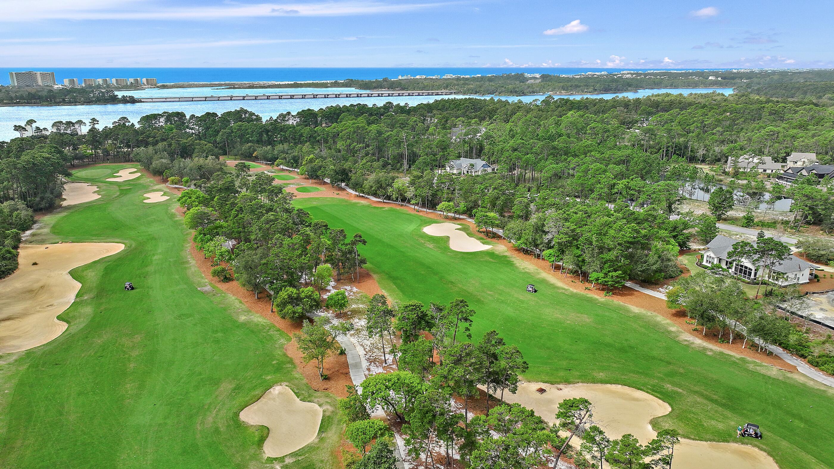 THE COURTS AT WILD HERON PHASE I - Residential