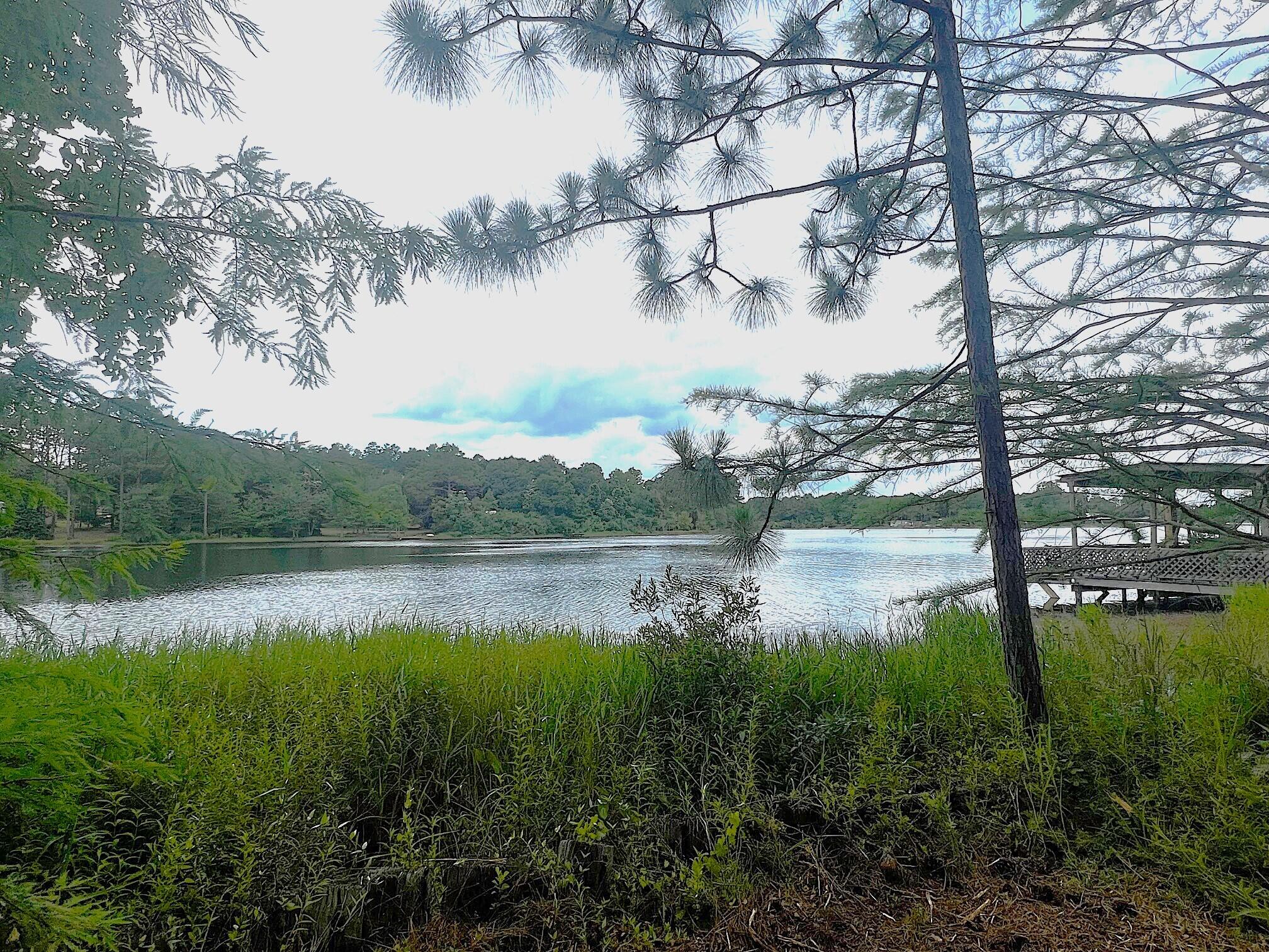 JUNIPER LAKE PINES UNIT I OR 418-336 - Land