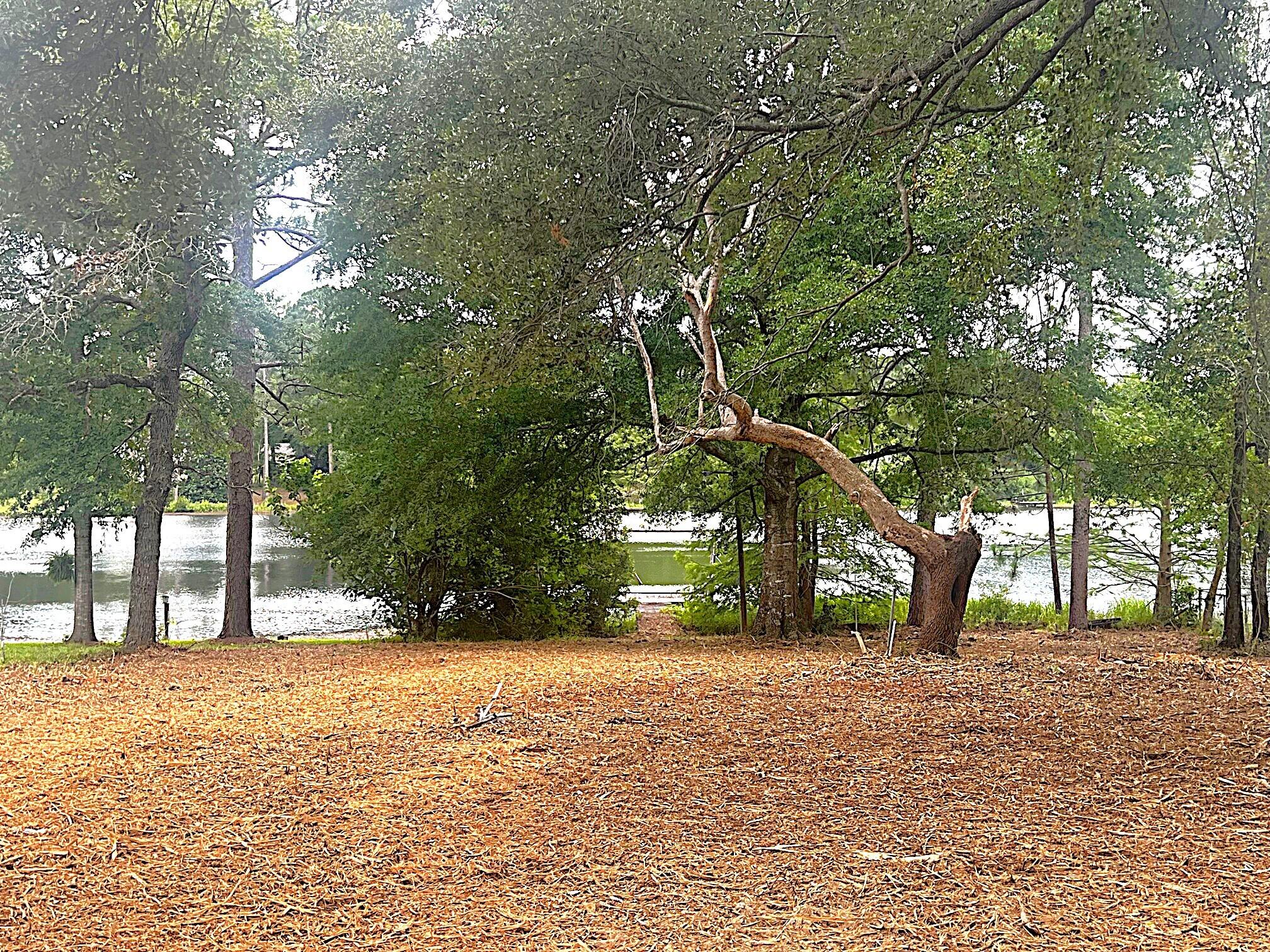 JUNIPER LAKE PINES UNIT I OR 418-336 - Land
