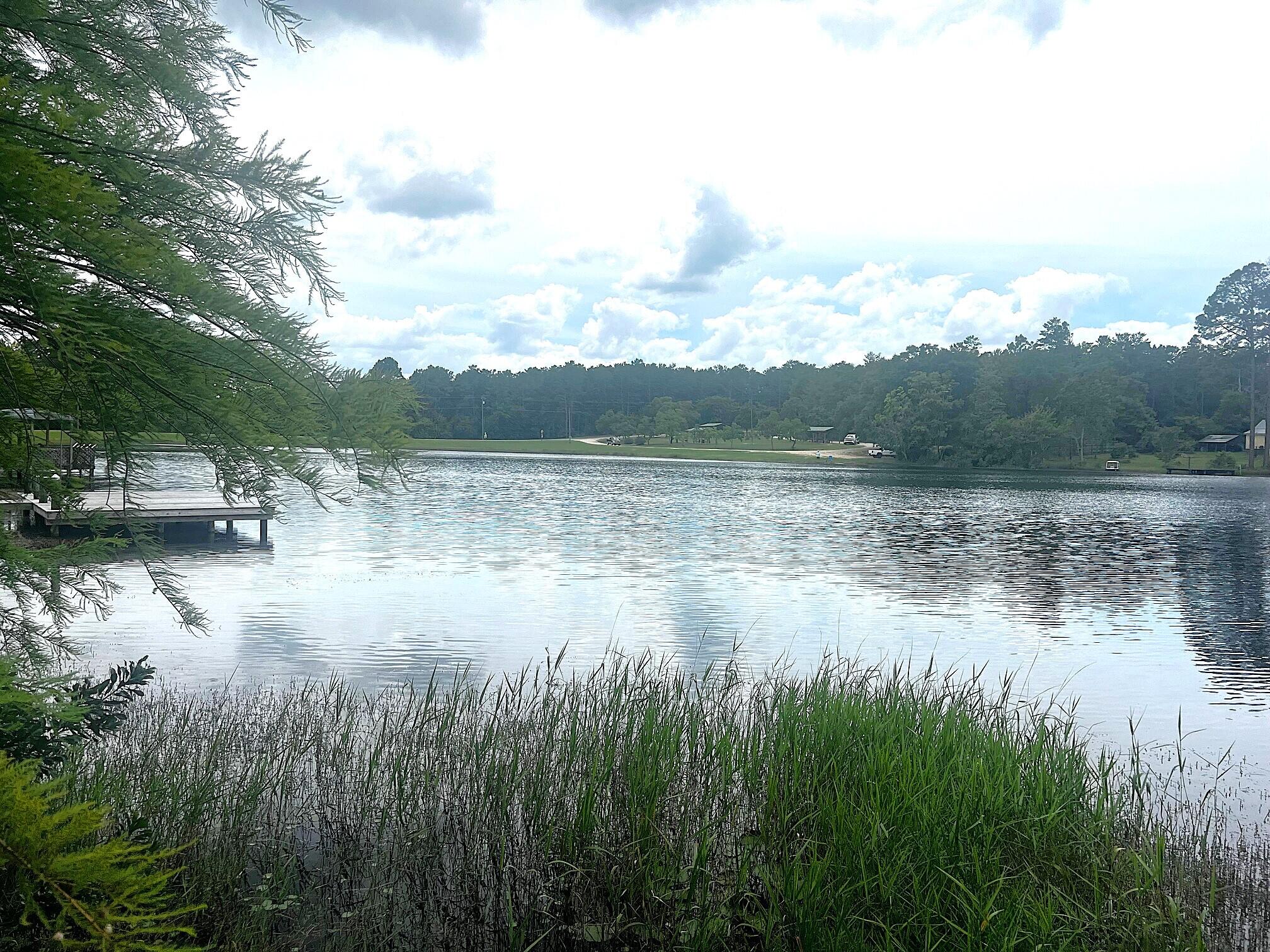 JUNIPER LAKE PINES UNIT I OR 418-336 - Land
