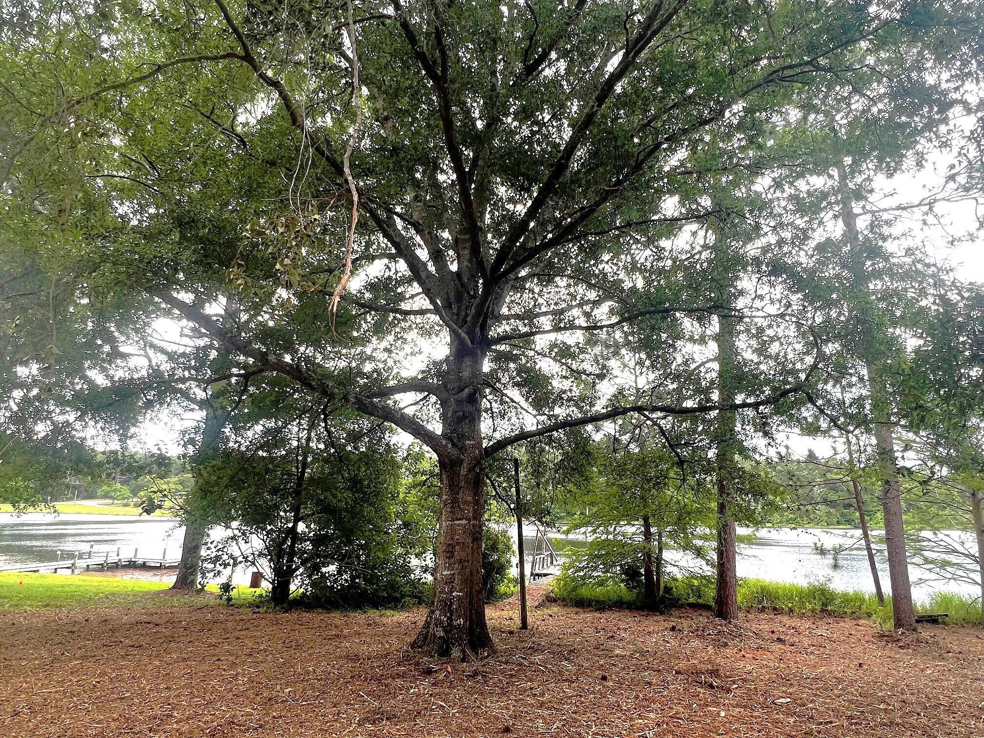 JUNIPER LAKE PINES UNIT I OR 418-336 - Land