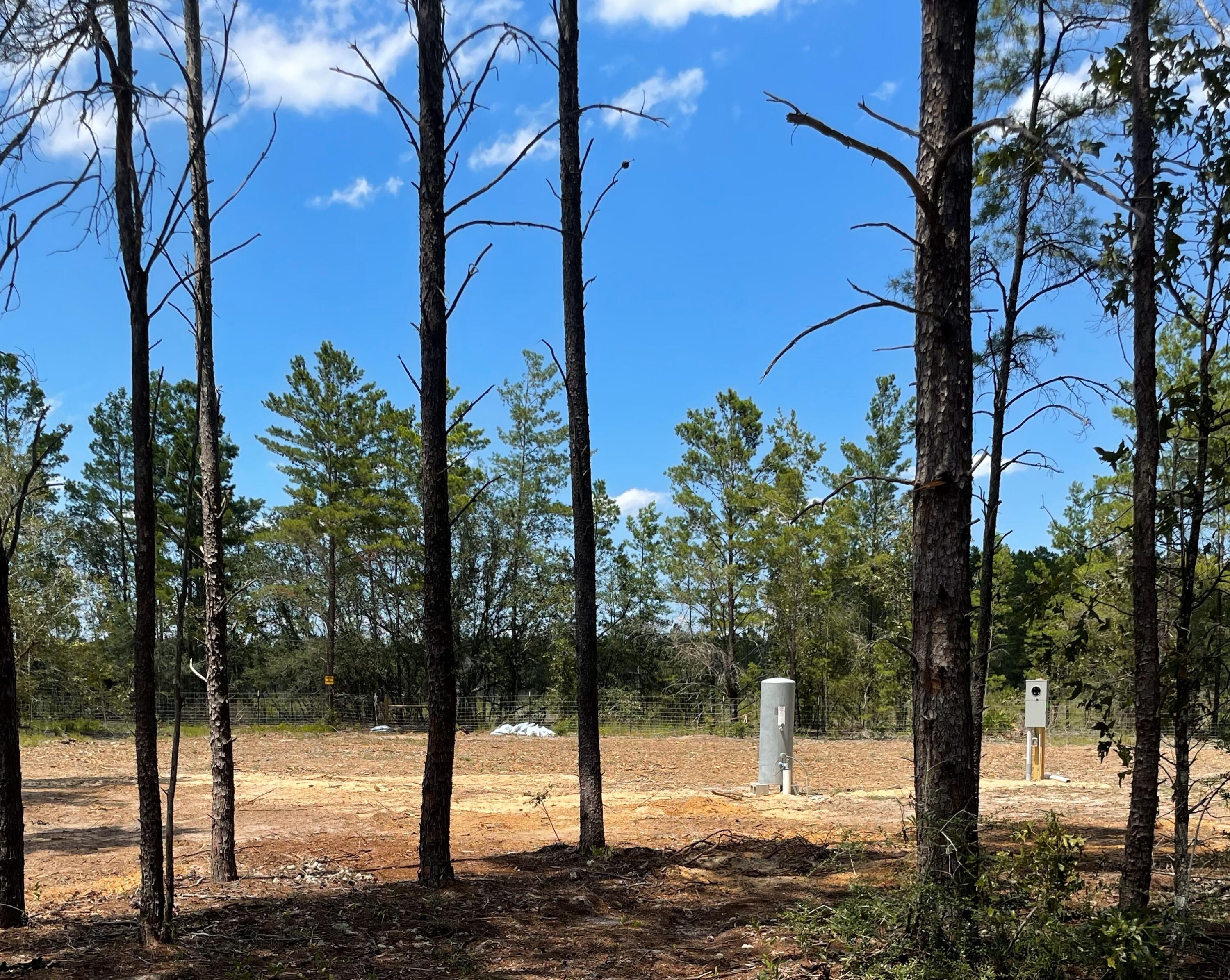 Lots 40 and 41 are being offered for sale together as one needs a half acre to install septic and well. The MLS # for Lot 41 is 930263. Ready to get off beaten path? The lots are located off Hwy 81N in the old Red Bay Golf Club S/D. The lots have been cleared and improved and are ready to build on! Lot 40 has a water well drilled, and a Chelco temporary power pole and meter. A septic tank consultant has completed an inspection  and determination that the lot cold have an in ground septic tank. Call Rusty Barlow at 850-842-0902 for directions and information.