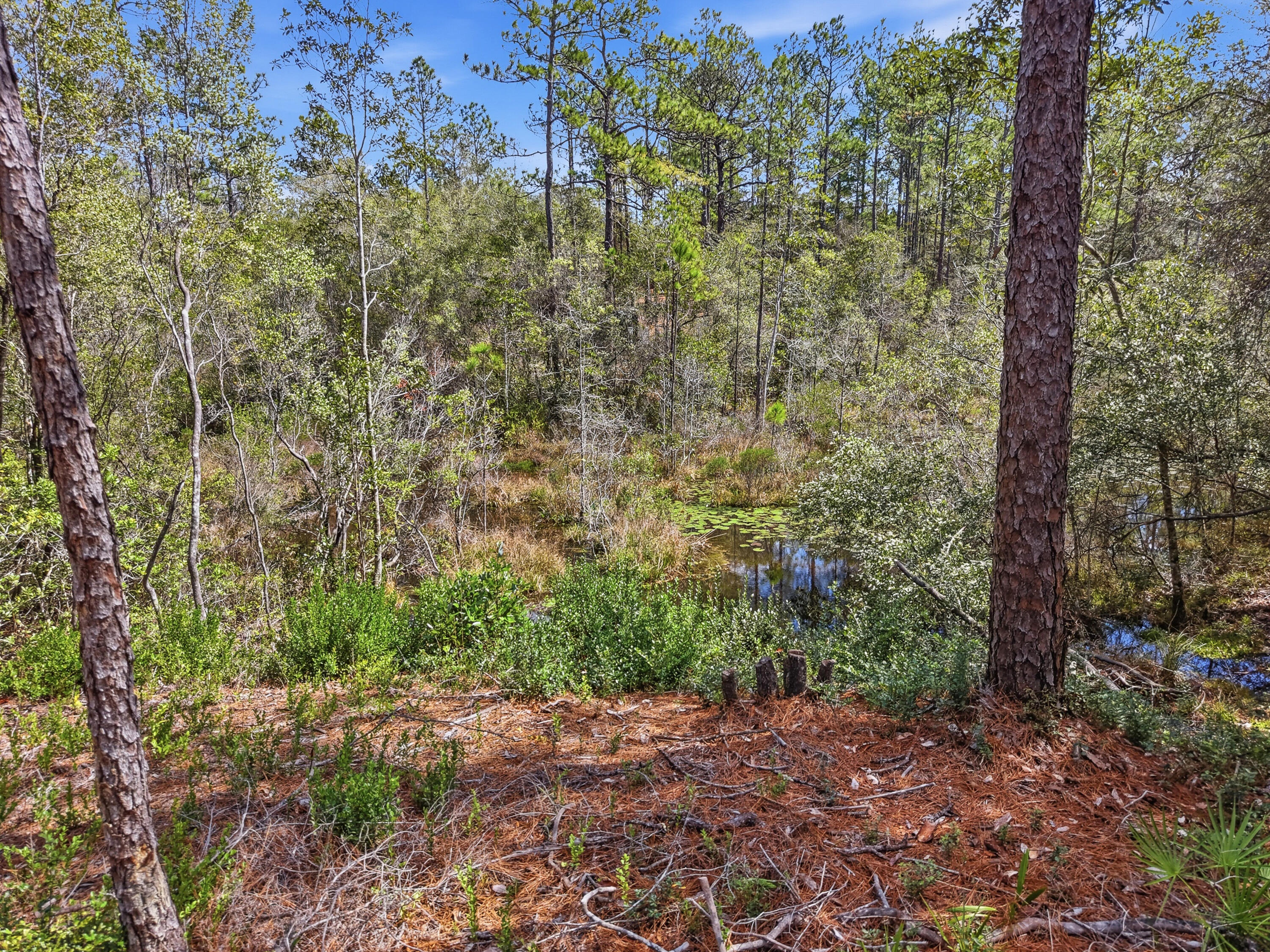 OAKWOOD HILLS UNIT 1 - Land