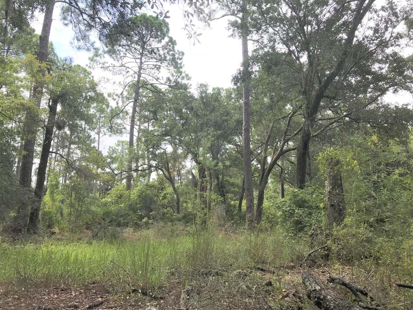 NO RECORDED SUBDIVISION - Land