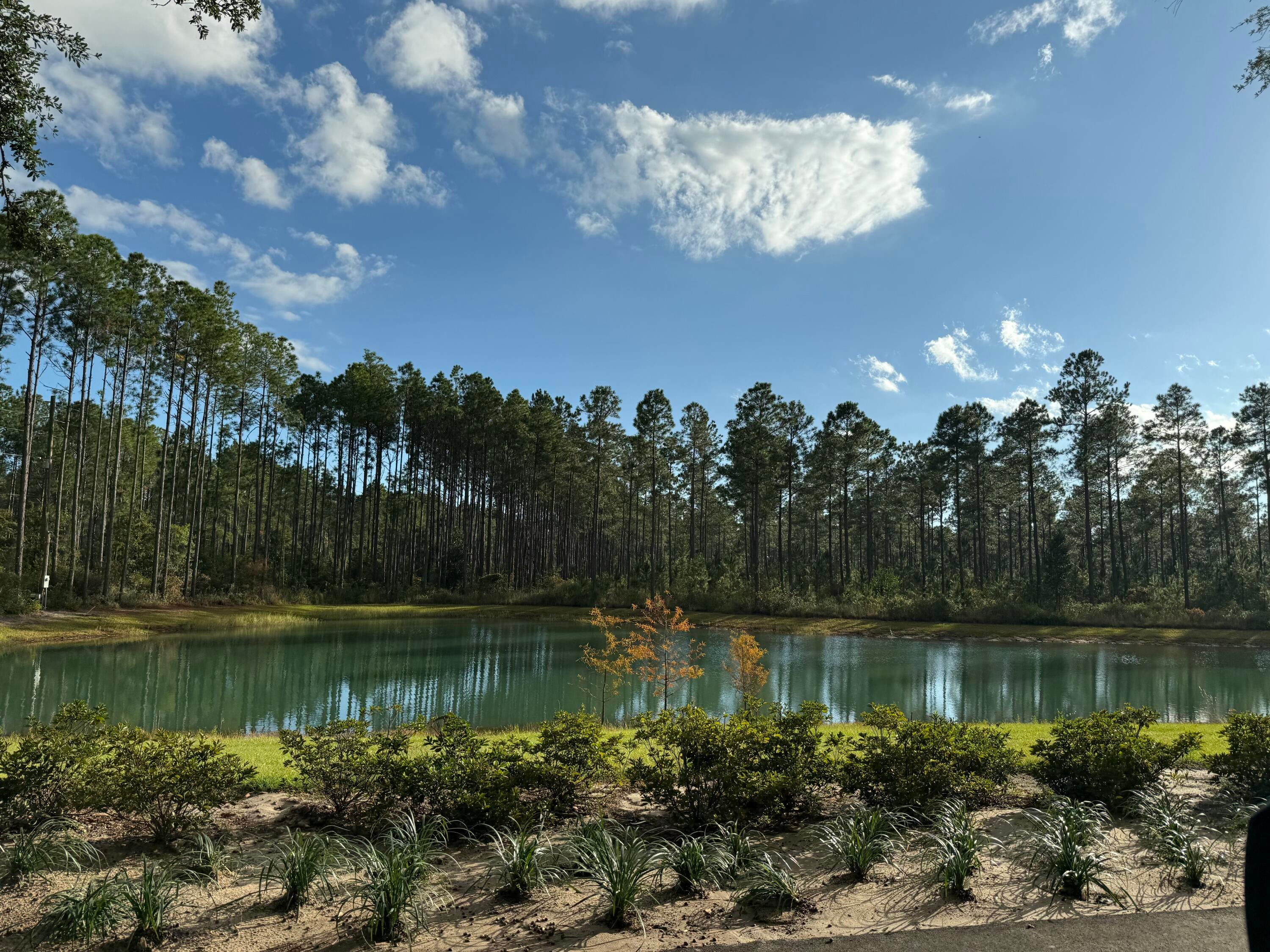 HAMMOCK BAY - Land