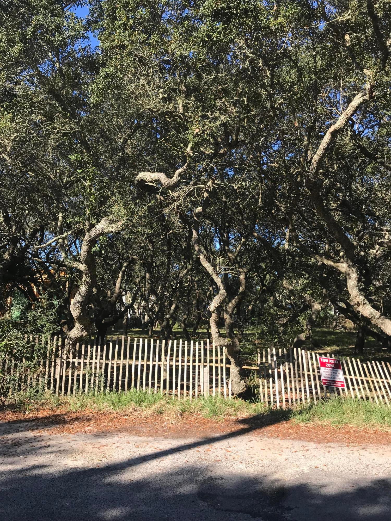 GRAYTON BEACH - Land