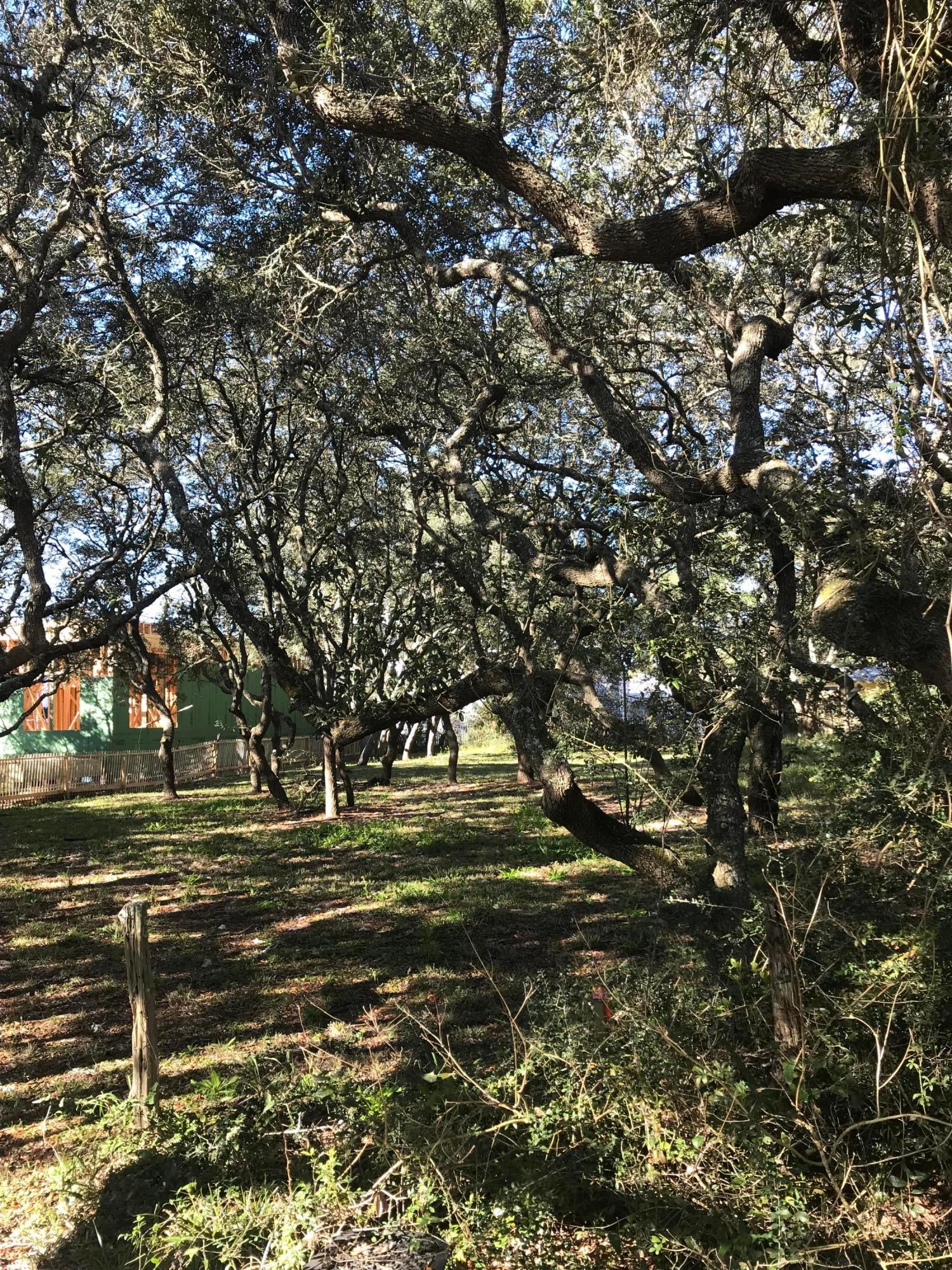 GRAYTON BEACH - Land