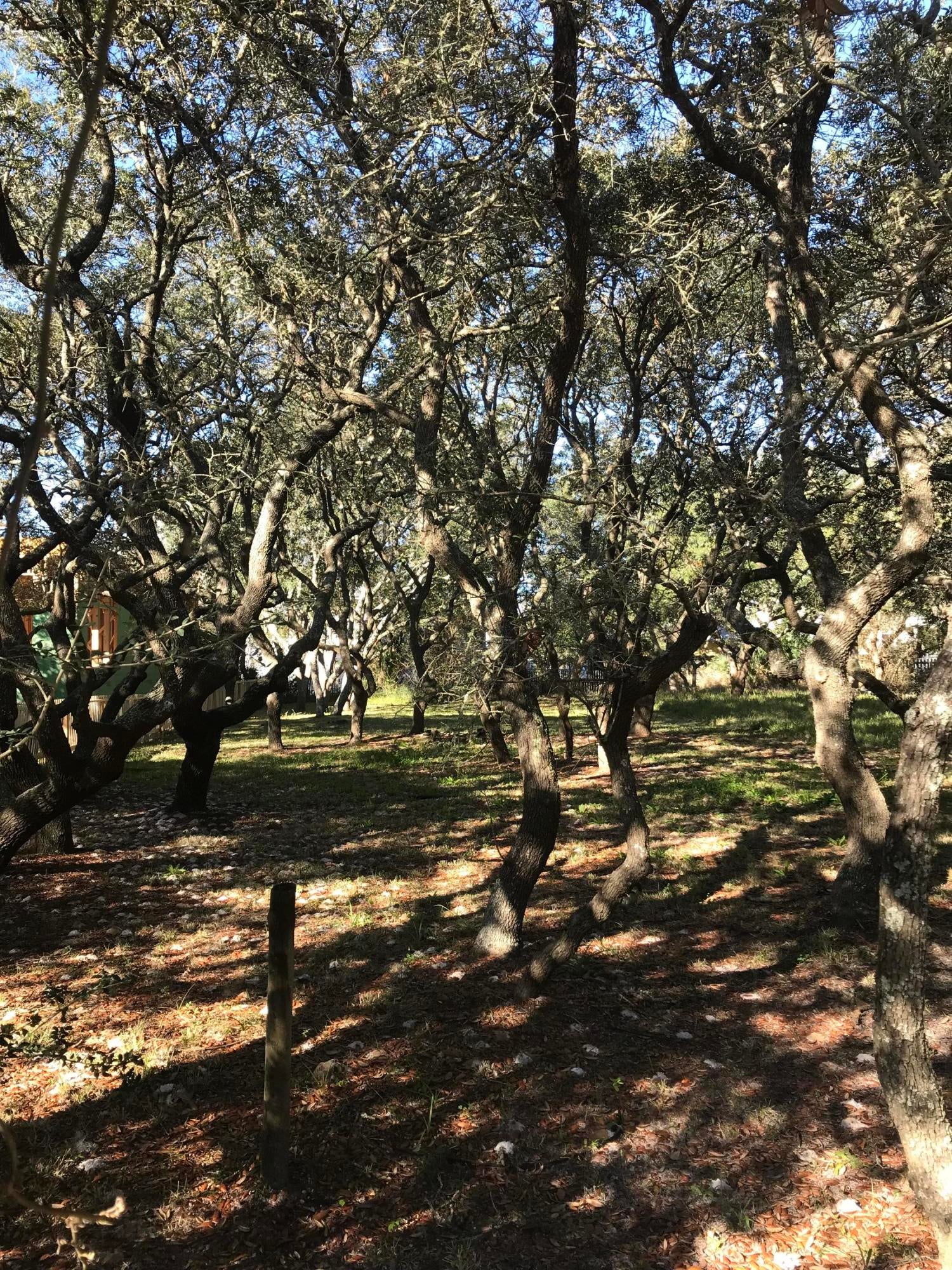 GRAYTON BEACH - Land