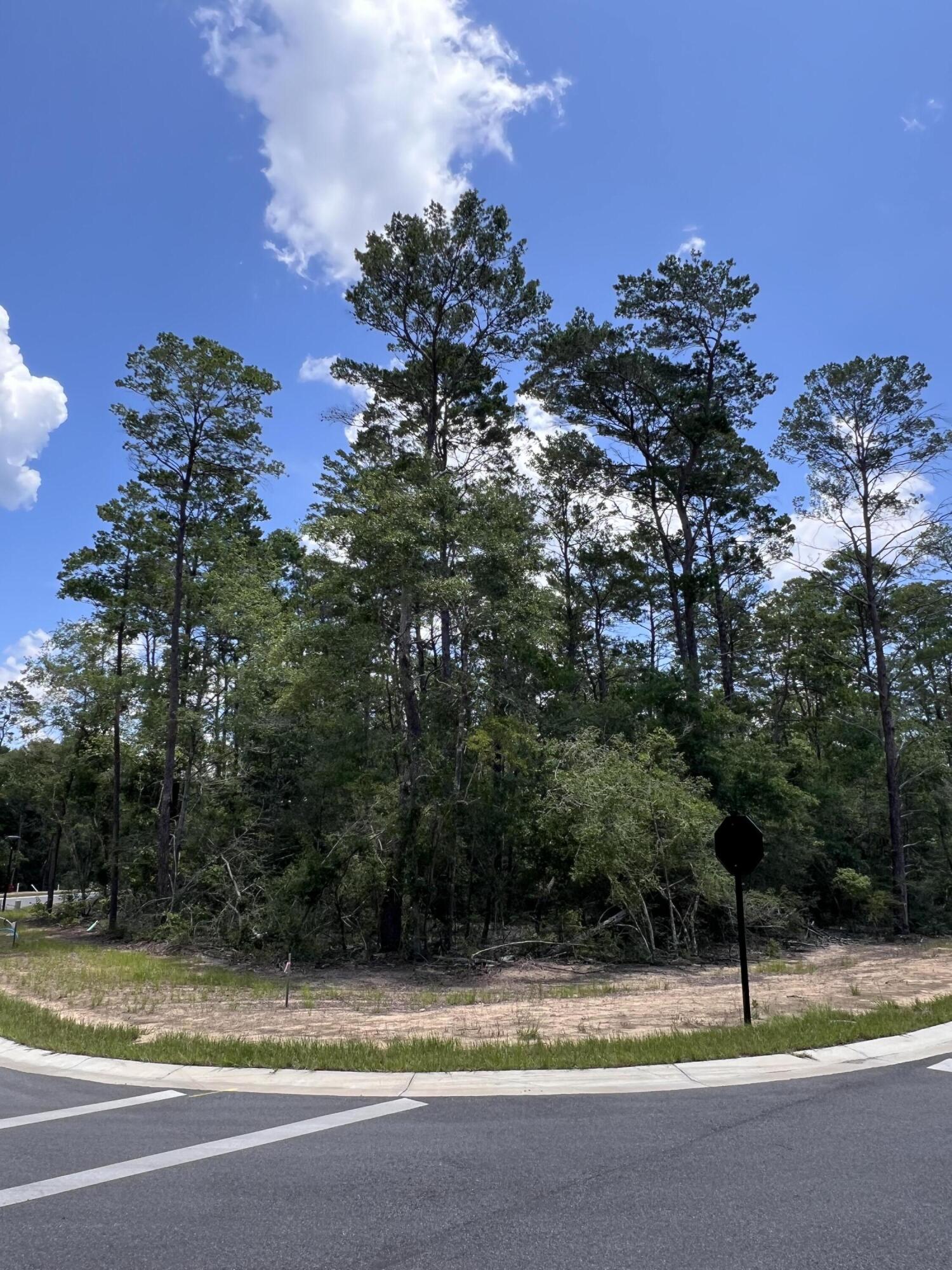 Build in Deer Moss Creek!  Lot 102 for sale in Phase 11 DEER MOSS CREEK, in Niceville, FL.  Deer Moss Creek is a 1,100 acre , master planned, mixed use community in Nicevil;le, FL.  Community pool, clunhouse, small childrens park and half basketball trails.  Community plans include natyre traisl, more phases, bike planes, parks, pools, office and retail spaces.  Sidewalks are 5 ' wide and all home plans to be approved by the Town Architect.  Come build with us!!
