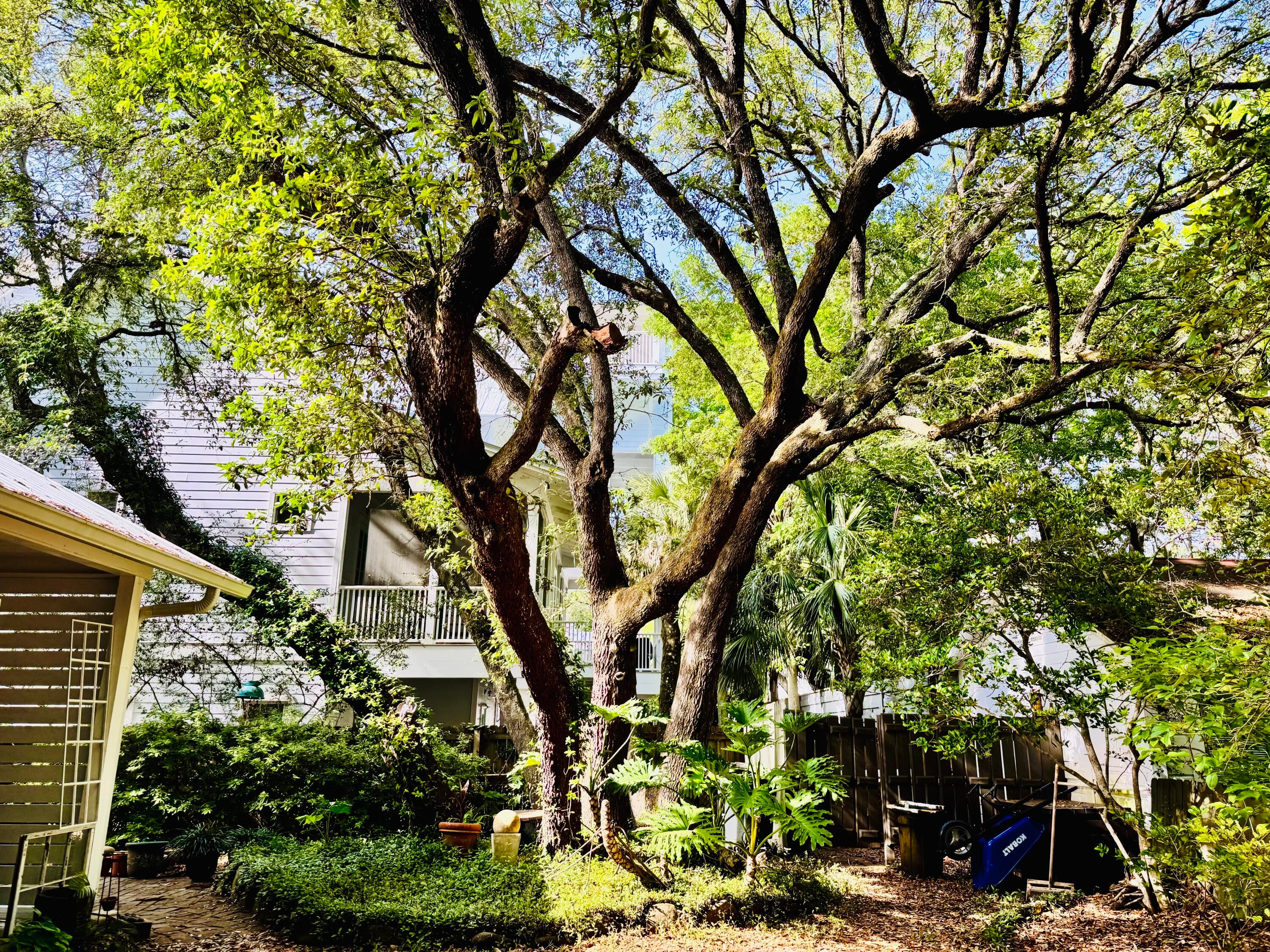 Old Sea Grove Seagrove First Addn - Residential