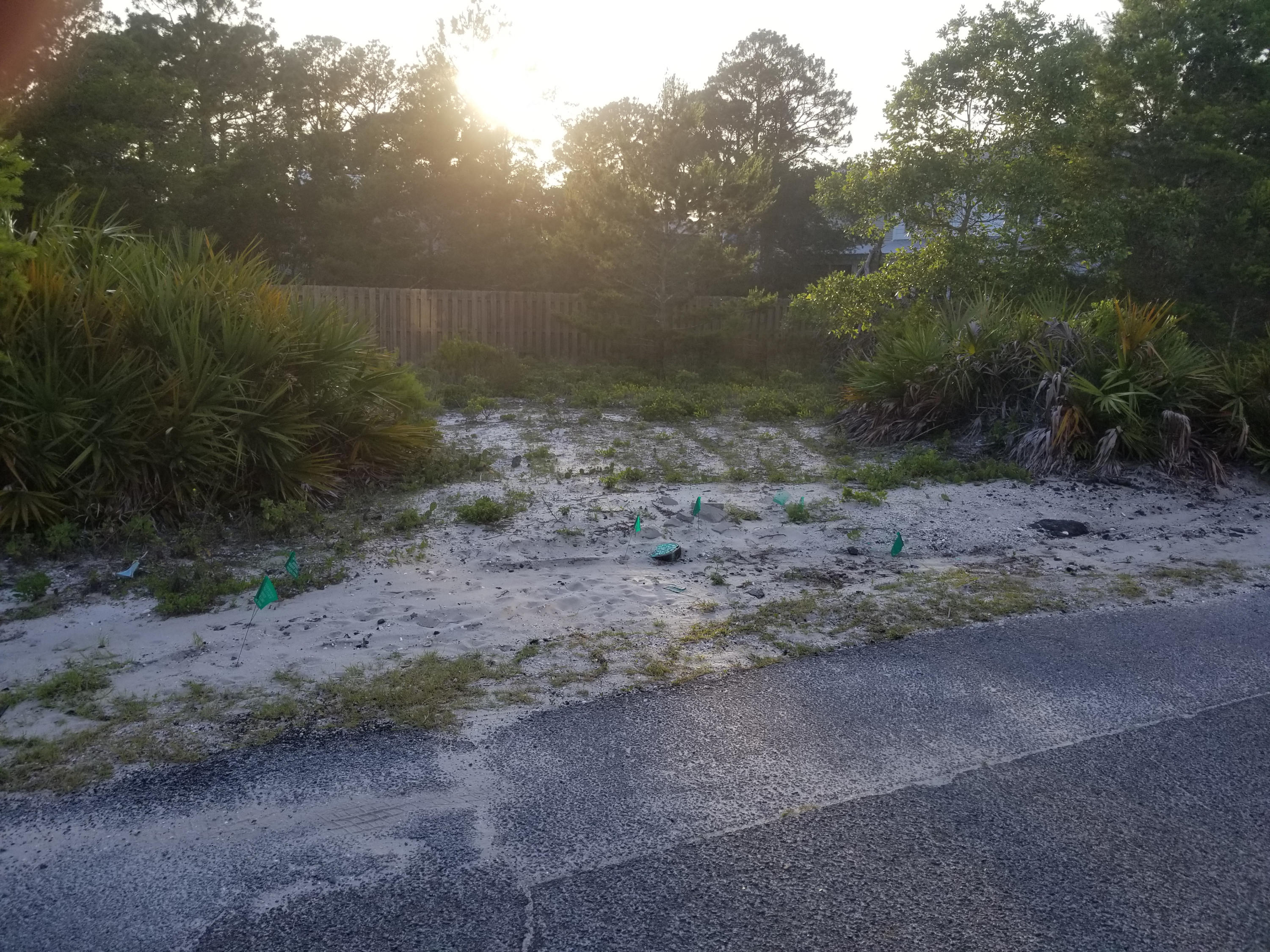 Here is a fantastic opportunity to own an easily buildable lot in the 'Brickyard'subdivision.

This high and dry corner lot ,with possible gulf views, offers a beautifully quiet location while being a five minute walk to restaurants,bars, shopping, a bakery and more - not to mention the short stroll to two easily accessible public beach access areas each with parking for car or your golf cart.

This charming subdivision has no homeowners association dues or buildout time and access is very convenient with 3 roads directly off of 30-A leading into it.

Don't miss the chance to build the beach home of your dreams on the best priced lot this close to the beach and all that 30-A has to offer.