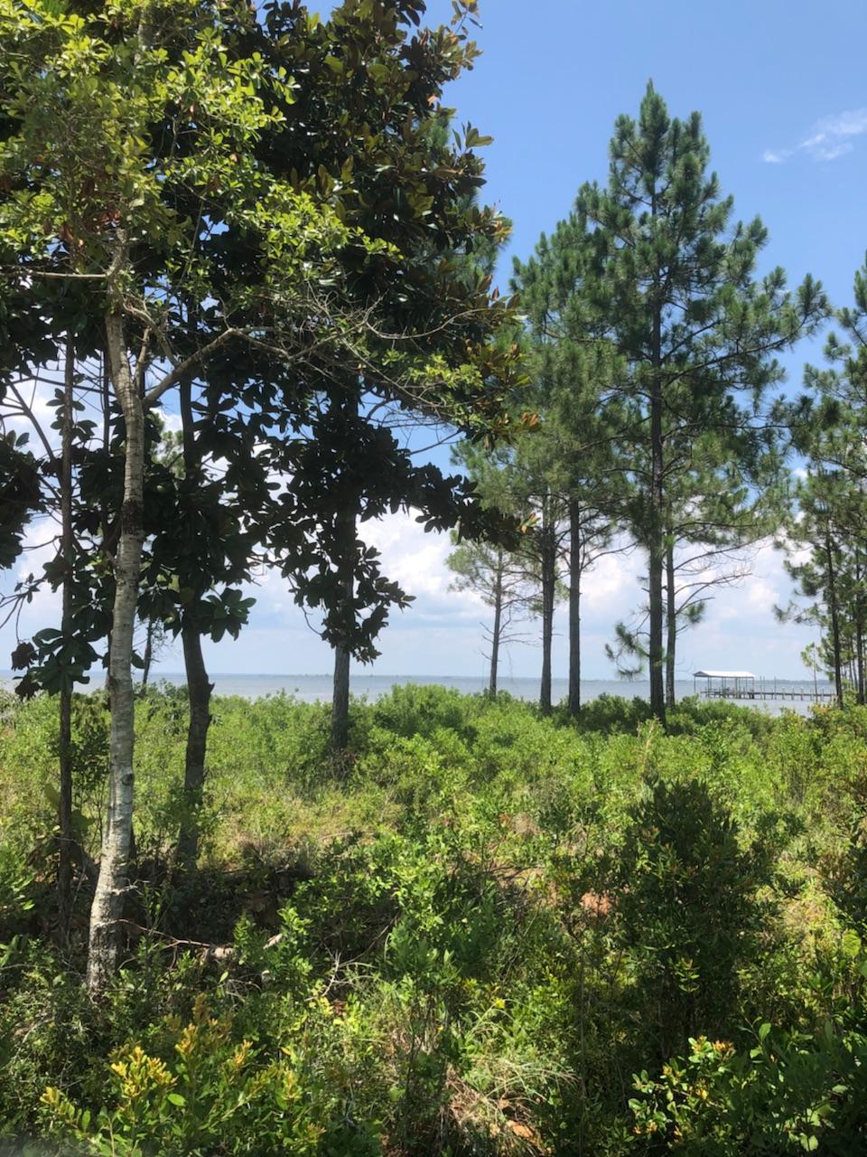 Eagle Bay Landing - Residential