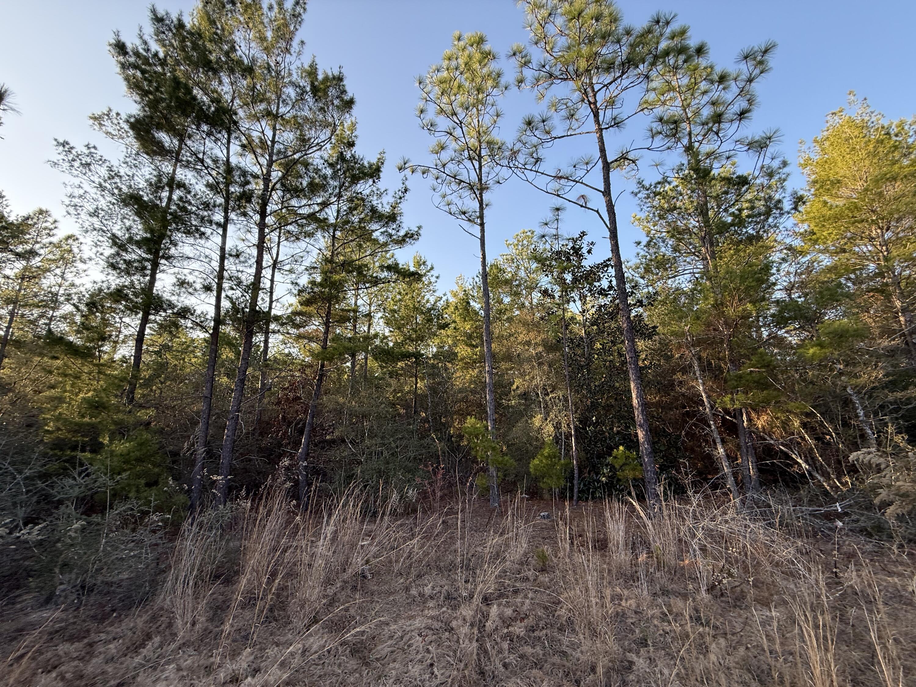 OAKWOOD HILLS UNIT 3 - Land