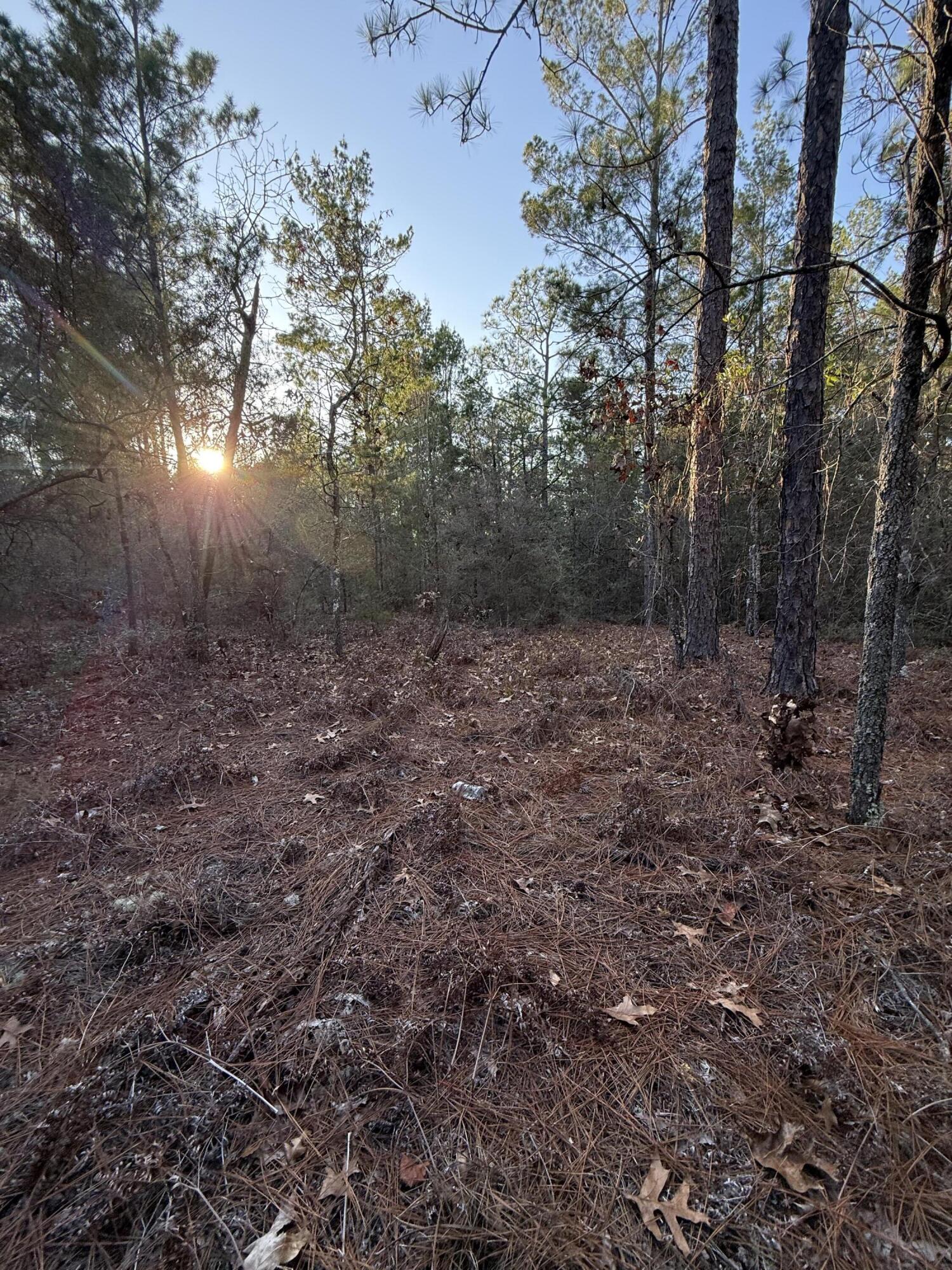 OAKWOOD HILLS UNIT 3 - Land
