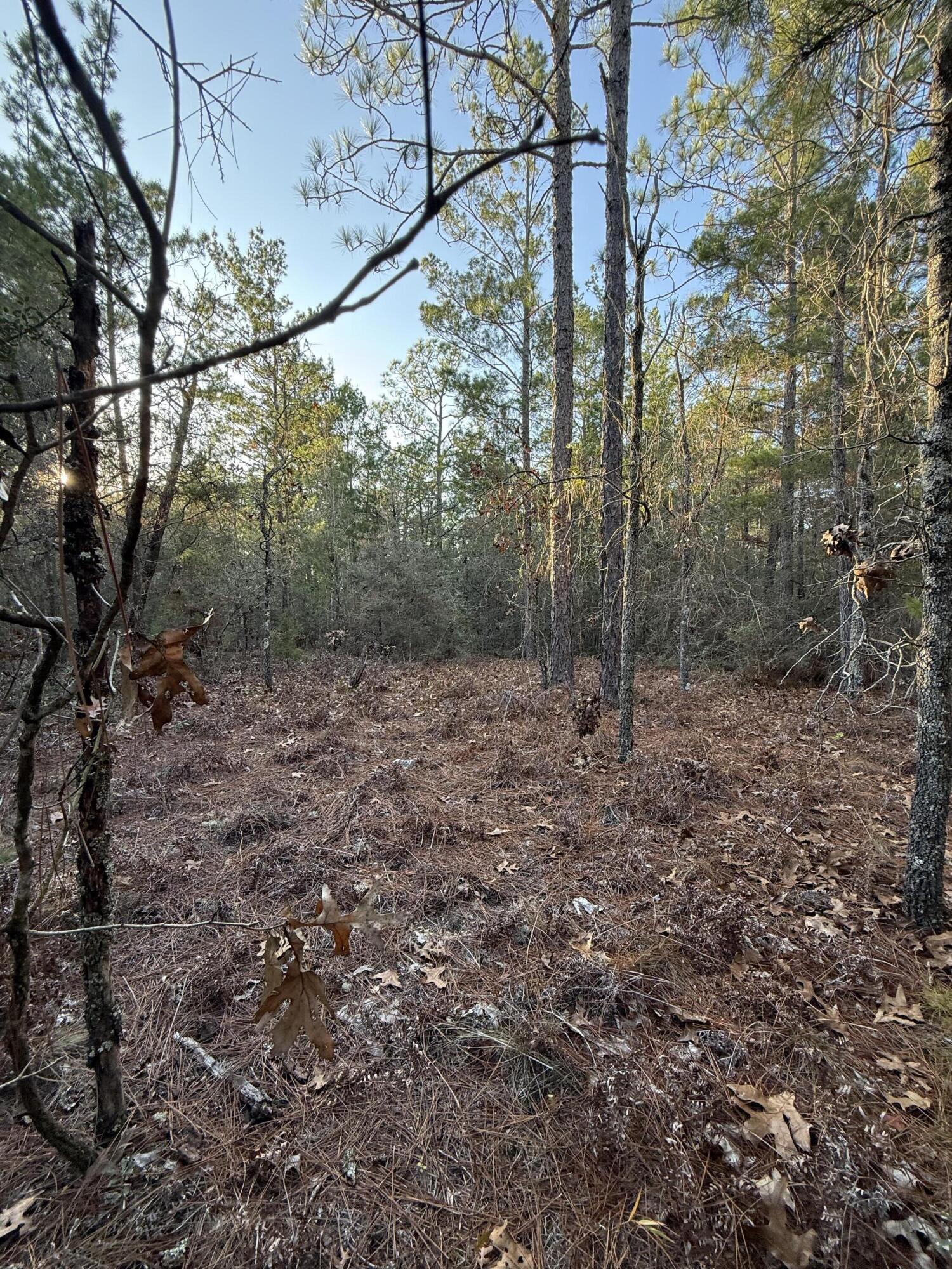 OAKWOOD HILLS UNIT 3 - Land