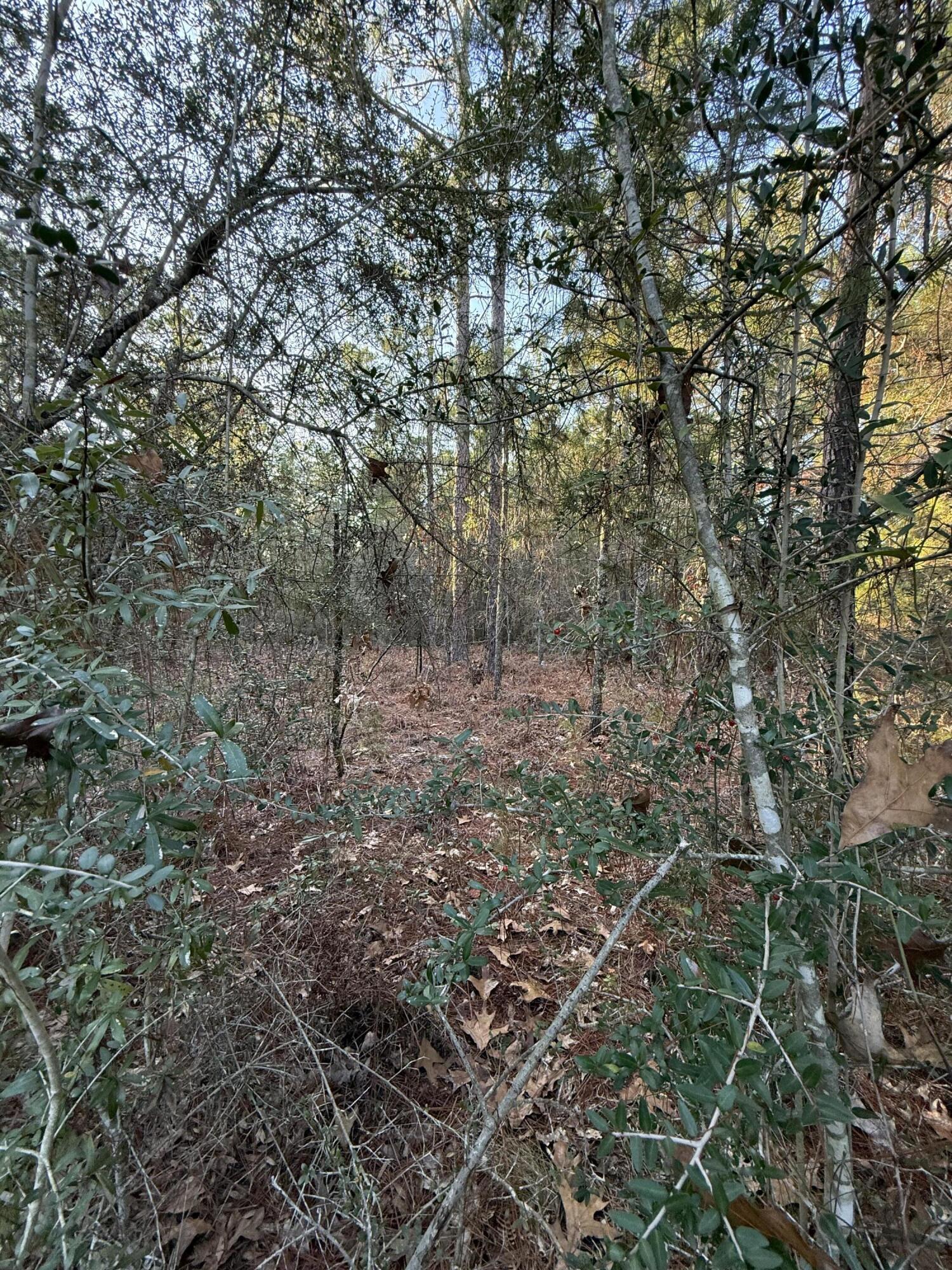 OAKWOOD HILLS UNIT 3 - Land
