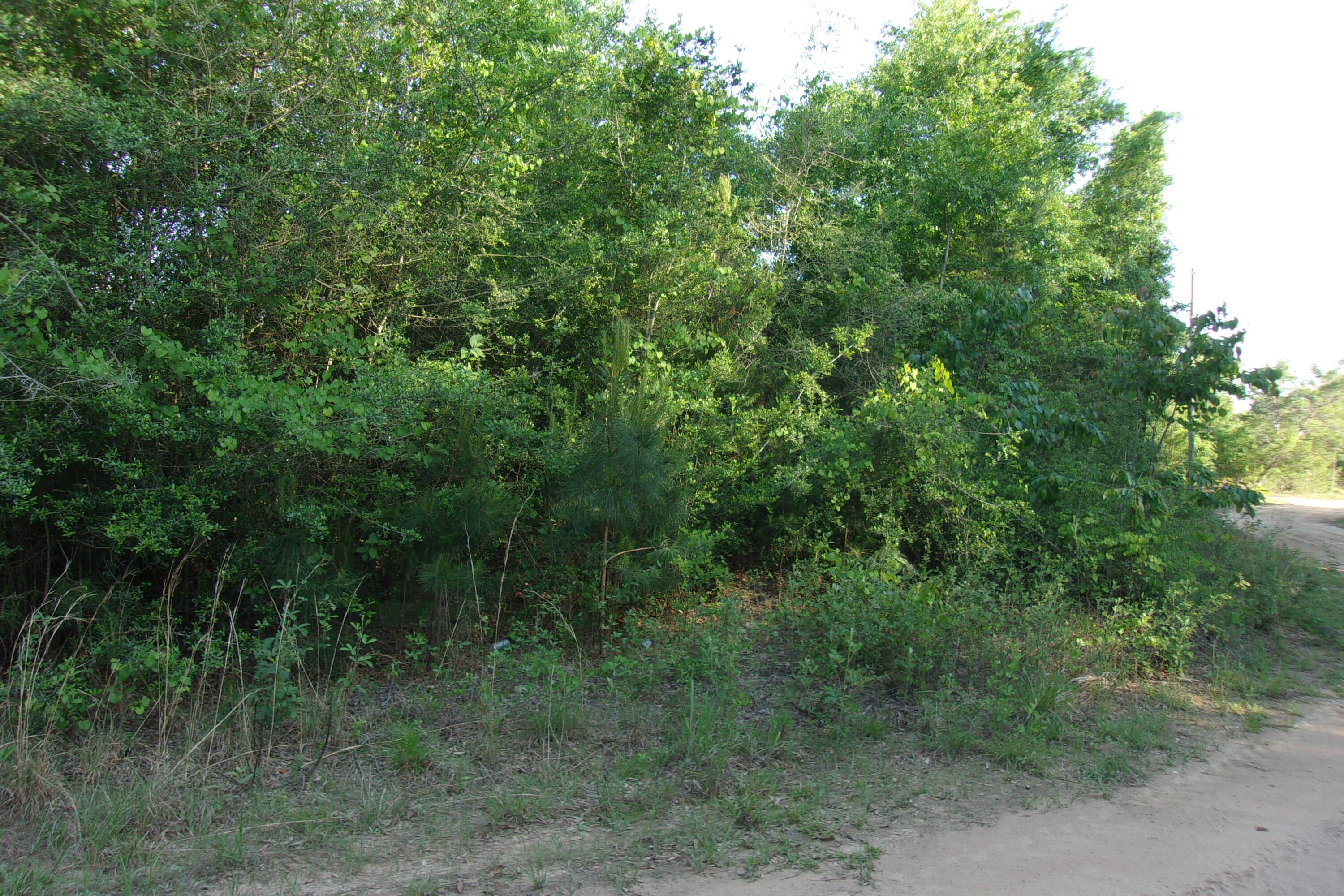 4 lots totaling 1.24 acres just off of East Hwy 90~  Located between Hwy 393 & 285~ Wooded~