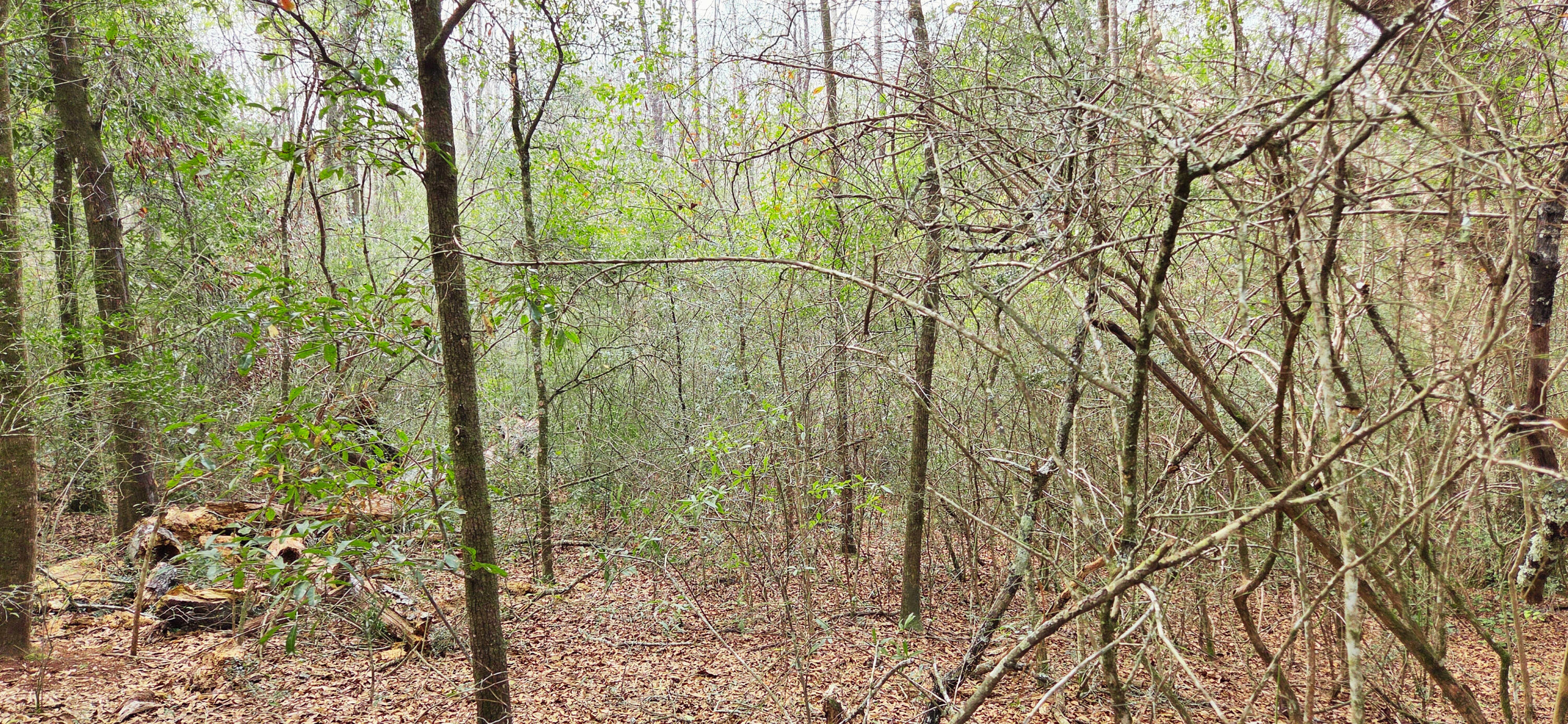 OAKDALE M/F - Land