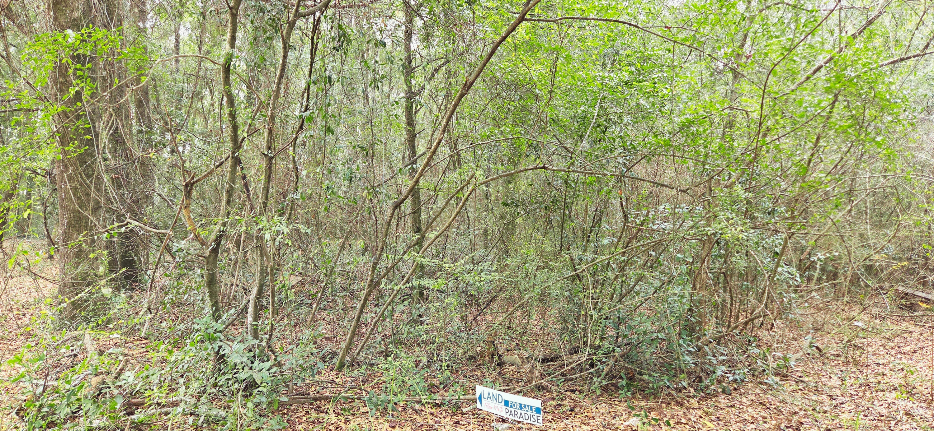 PRICE REDUCTION!  This 5.97 acre property is located in the heart of Crestview and would be great for an Estate and much more (see below). The property is just a couple of minutes to Crestview High School, Davidson Middle School, Publix at Northcrest Center, Crestview Marketplace, and Old Spanish Trail Park—plus only one mile to Historic Downtown Crestview's shops and restaurants—this site combines convenience with natural charm. Zoned R 1 for single family homes and townhomes. Density - 4 Units per acre. Rising demand in Okaloosa County makes this a rare chance to shape Crestview's future. Contact us today