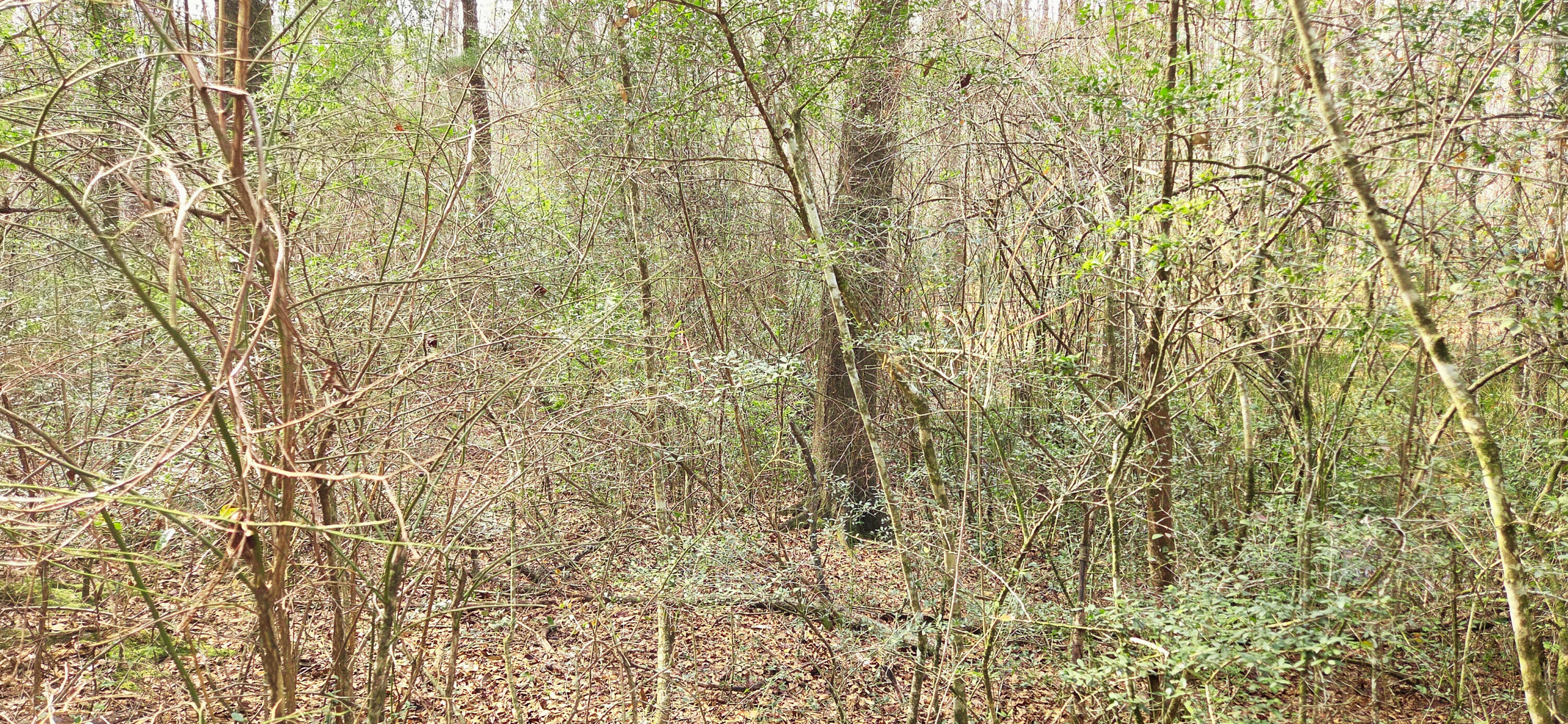 OAKDALE M/F - Land