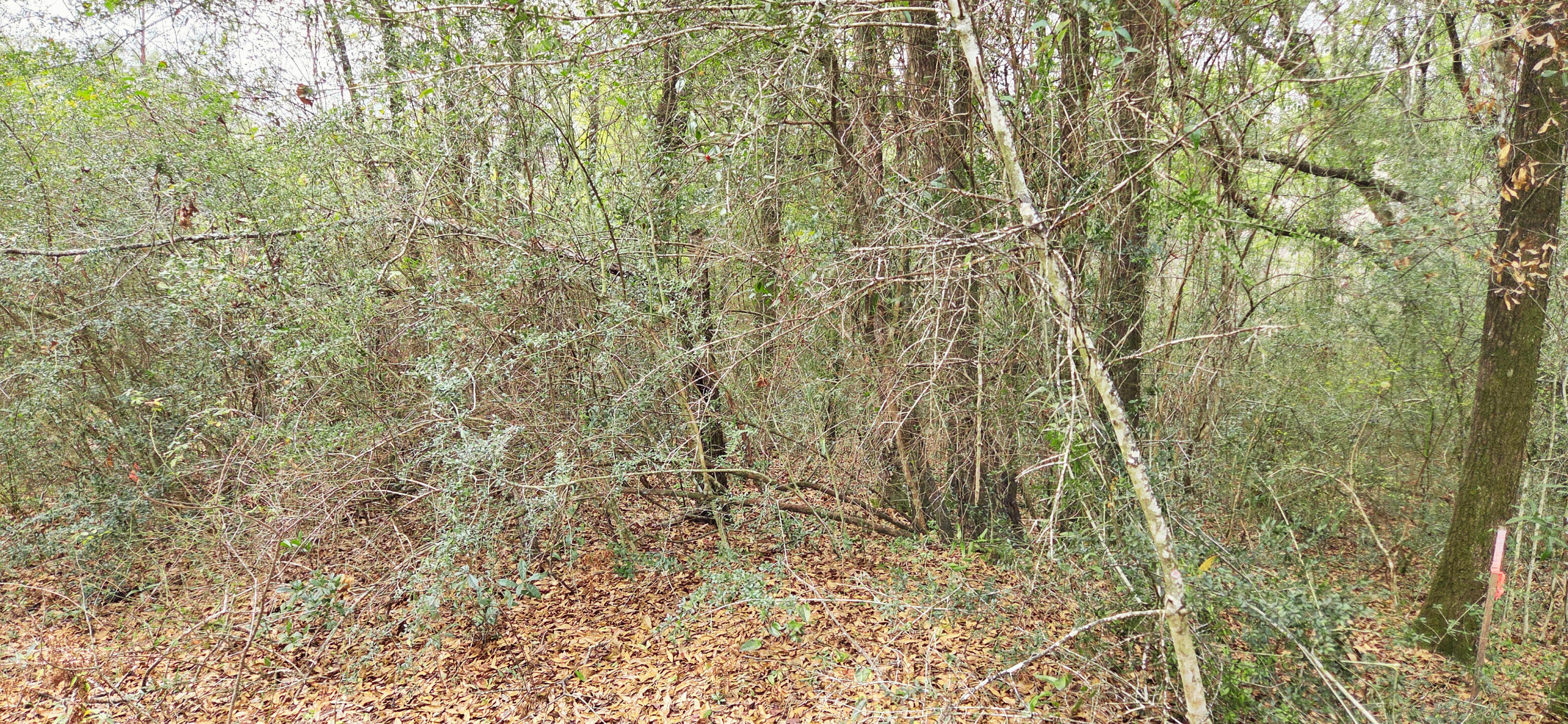 OAKDALE M/F - Land