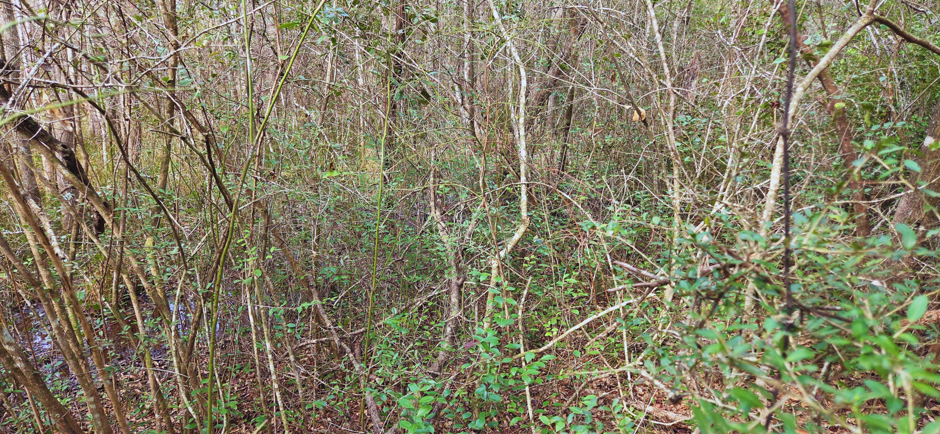 OAKDALE M/F - Land