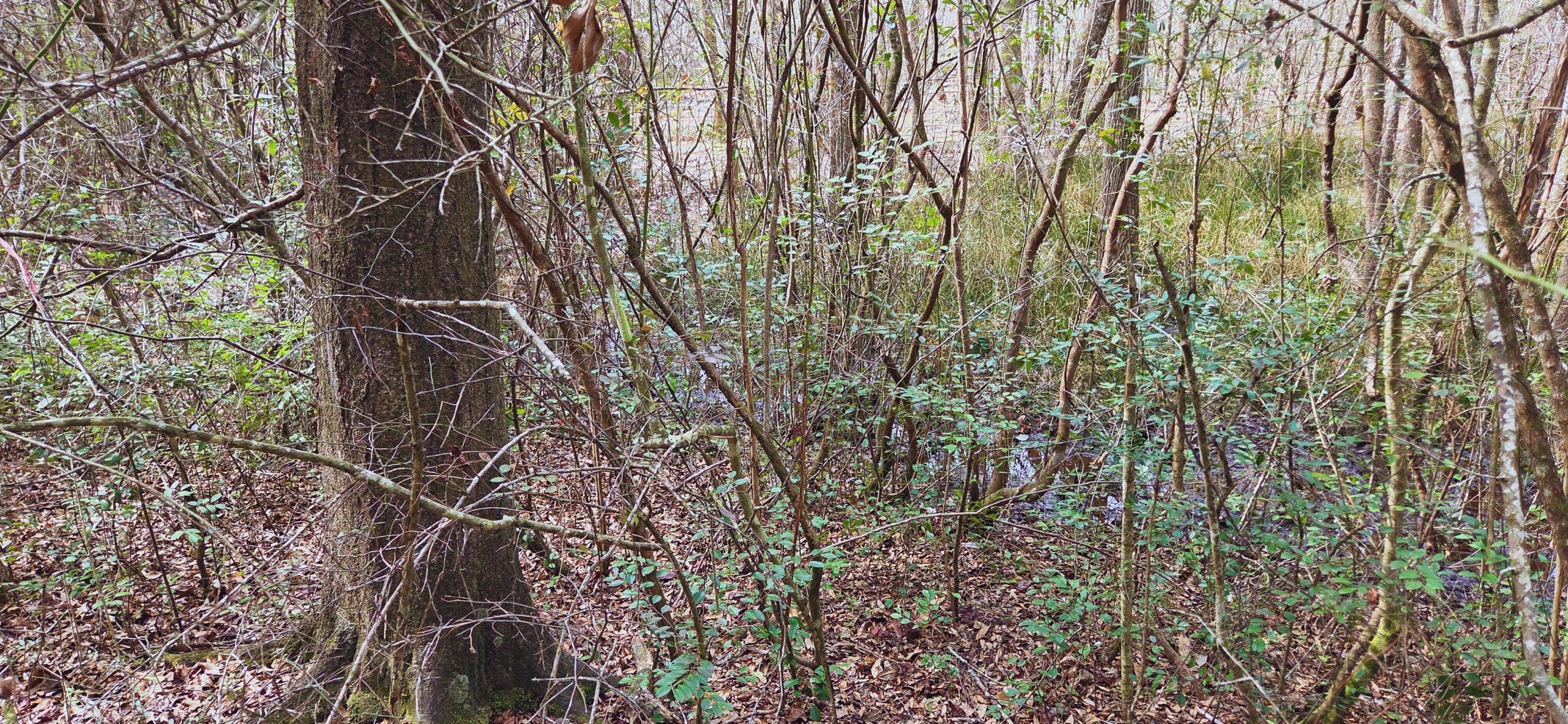 OAKDALE M/F - Land