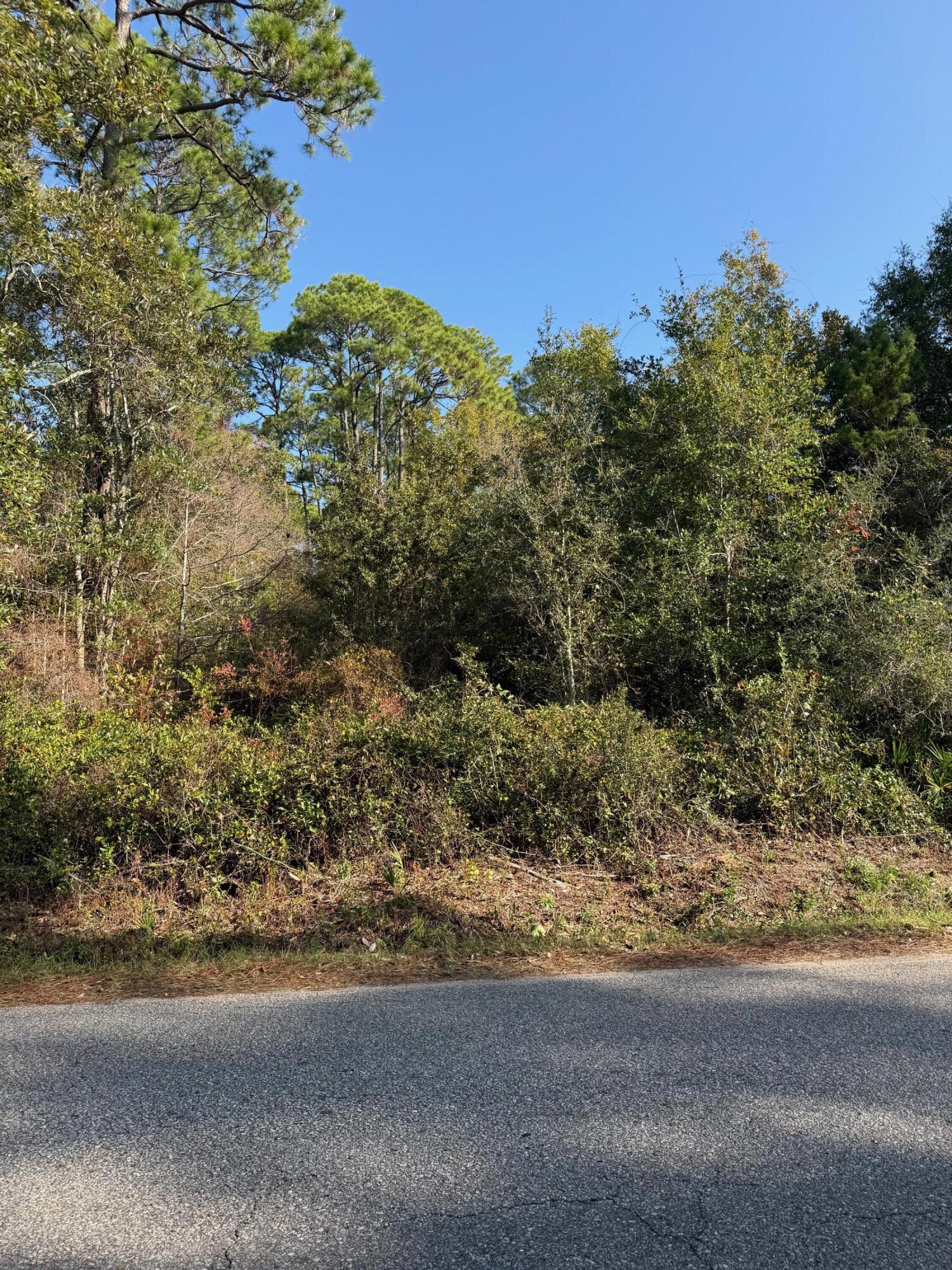 The perfect canvas for your dream home! This beautiful vacant lot, located in Flood Zone X, offers peace of mind and confidence when building. Wooded for privacy, it provides the ideal setting to create the lifestyle you've been dreaming of. Enjoy the convenience of being just ½ mile from a public boat ramp, while still tucked away enough to savor peace and tranquility. Conveniently located yet private, this lot is ready for your vision to come to life.