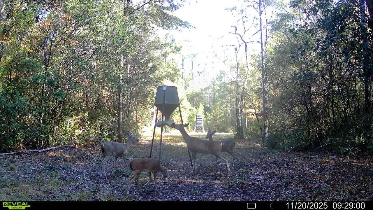 Approx. 15.2 ± acres in the northeast section of Crestview off Sunburst Drive. This wooded parcel offers a natural setting suitable for recreational use, including private hunting activities, relaxed weekend retreats, trail wandering, outdoor gathering areas, or rustic camping ideas for simple family enjoyment. The land includes varied terrain with sections that may contain wetlands and portions that may fall within Flood Zone A. Buyer to verify all information deemed important. Caution: Active hunting lease. Shown by appointment only.