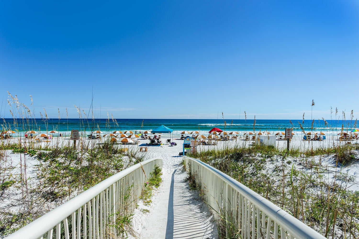 BEACH CLUB CONDO THE - Residential