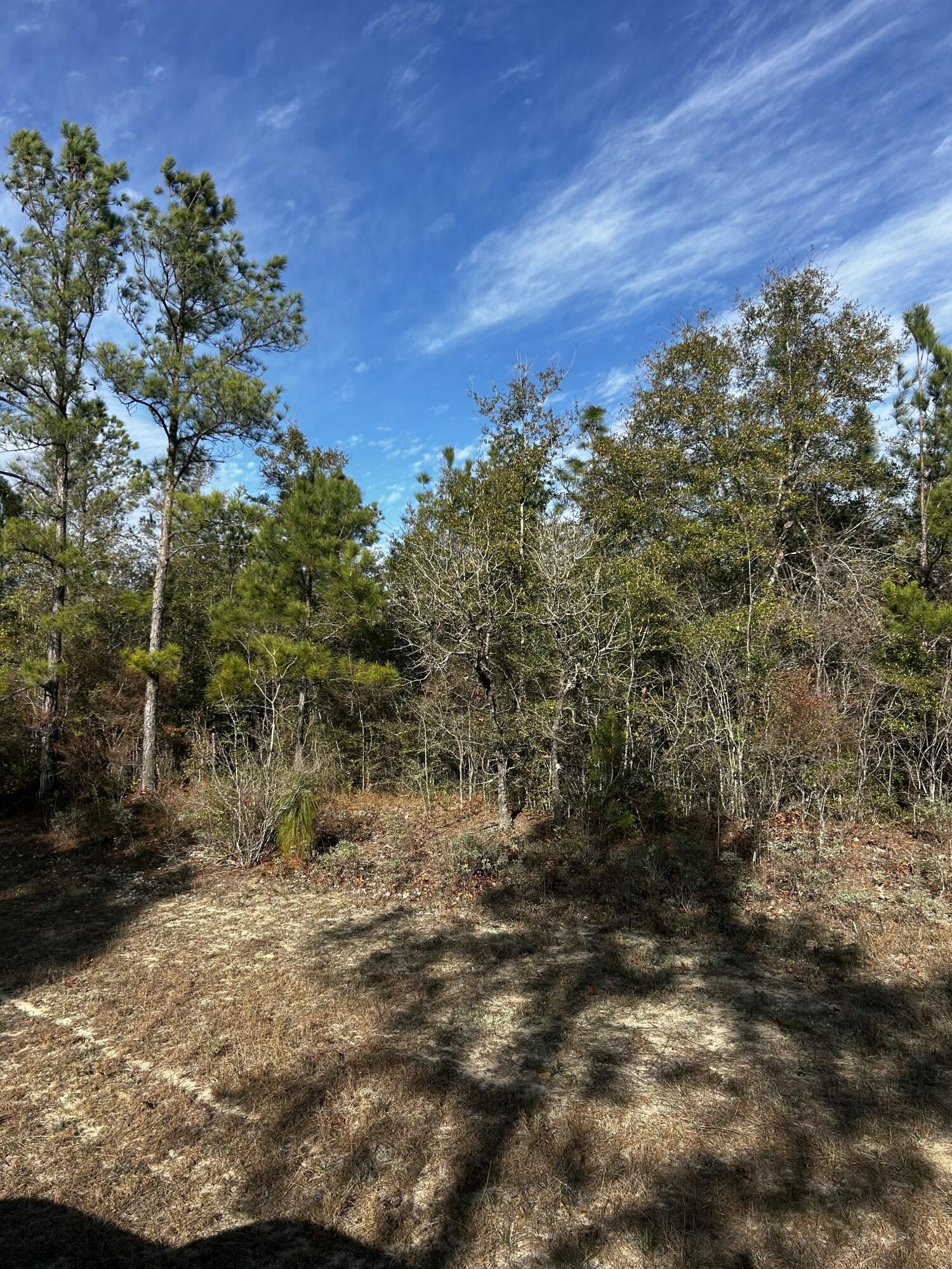 High and Dry Buildable Lot in the Sunny Hills Community, an established subdivision with over 20K lots currently being developed with several national builders. Subdivision offers an 18-hole golf course with clubhouse, numerous lakes with white sandy beaches for recreational activities such as swimming, boating, fishing, and best of all, NO HOA! Sunny Hills is located in Washington County between Panama City Beach and Chipley within the Vernon school district.  Seller has 4 more great buildable lots in Sunny Hills available for purchase, individually or in a package. All properties are vacant and undeveloped.