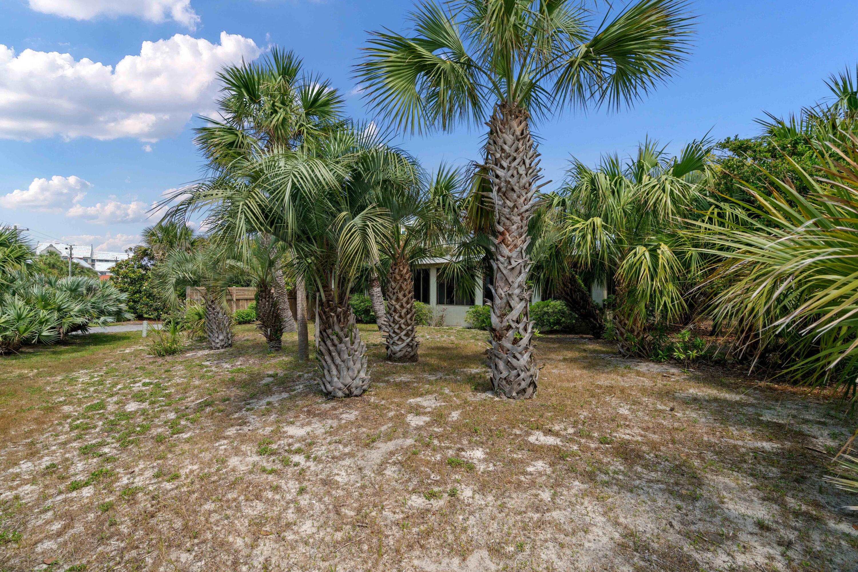 BLUE MOUNTAIN BEACH - Residential