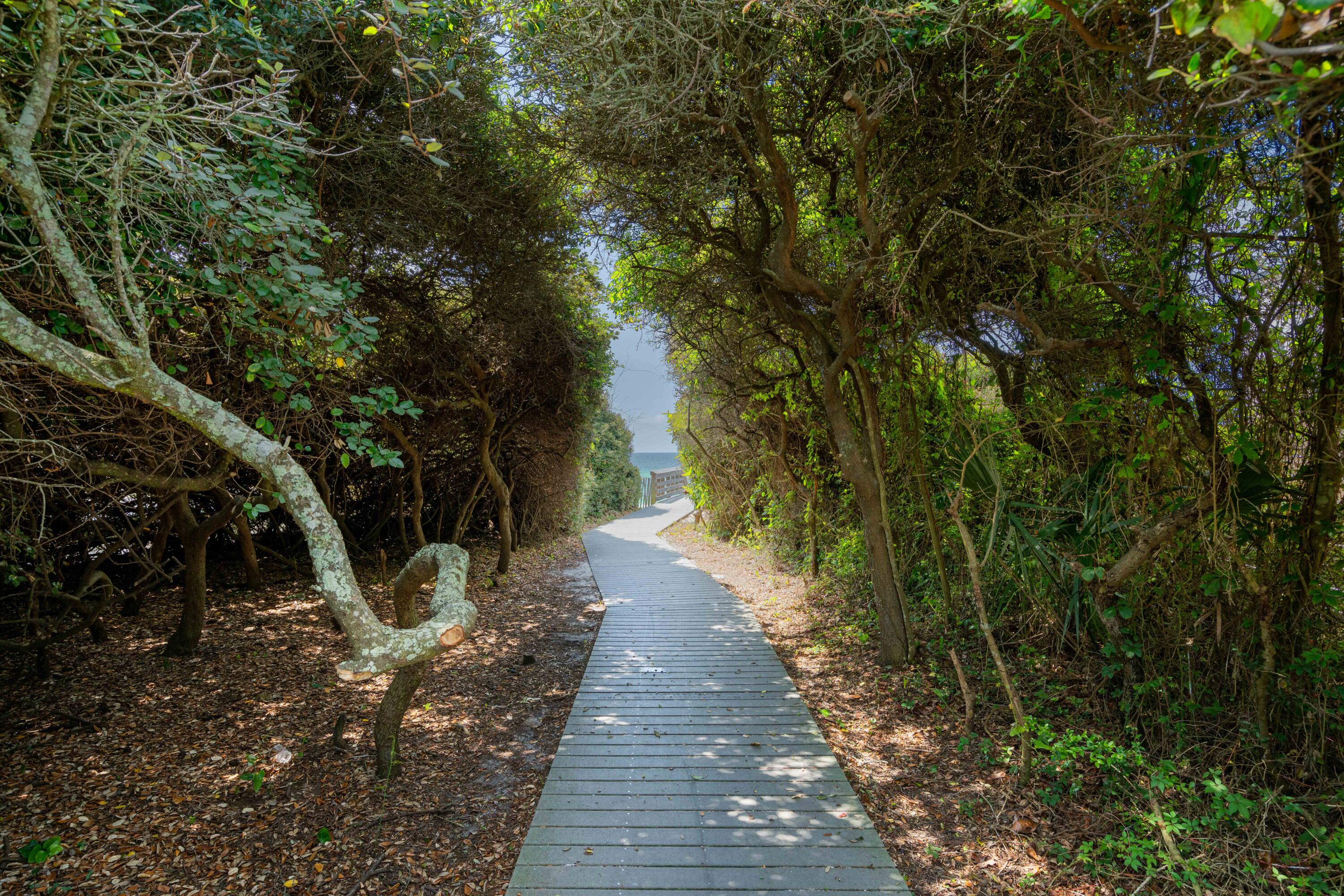 BLUE MOUNTAIN BEACH - Residential