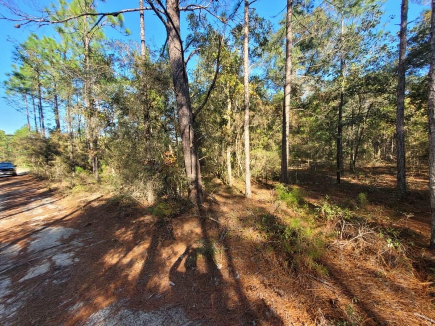 Wood lot in DeFuniak Springs FL and Mossyhead. No HOA. Minimal Restrictions. Modular homes allowed. 

There are no existing utilities. Well/Power/Septic required. Property is Flood Zone X. Per the Walton GIS mapping, the property does not appear to have wetlands. 

Easy access to the I-10 & CR 285 south making it a great location for work no matter what direction you need to go! You will be approx. 30-45 mins to most workplaces as as well as the beautiful white sandy beaches of Florida famous Emerald Gulf Coast and Crab Island. 

Buyer needs to verify building codes, zoning regulations, wetlands and flood zones, etc with proper local authorities to ensure buyer will be able to utilize the property for intended use. Information contained within this listing is deemed to be to be accurate but is not guaranteed.
