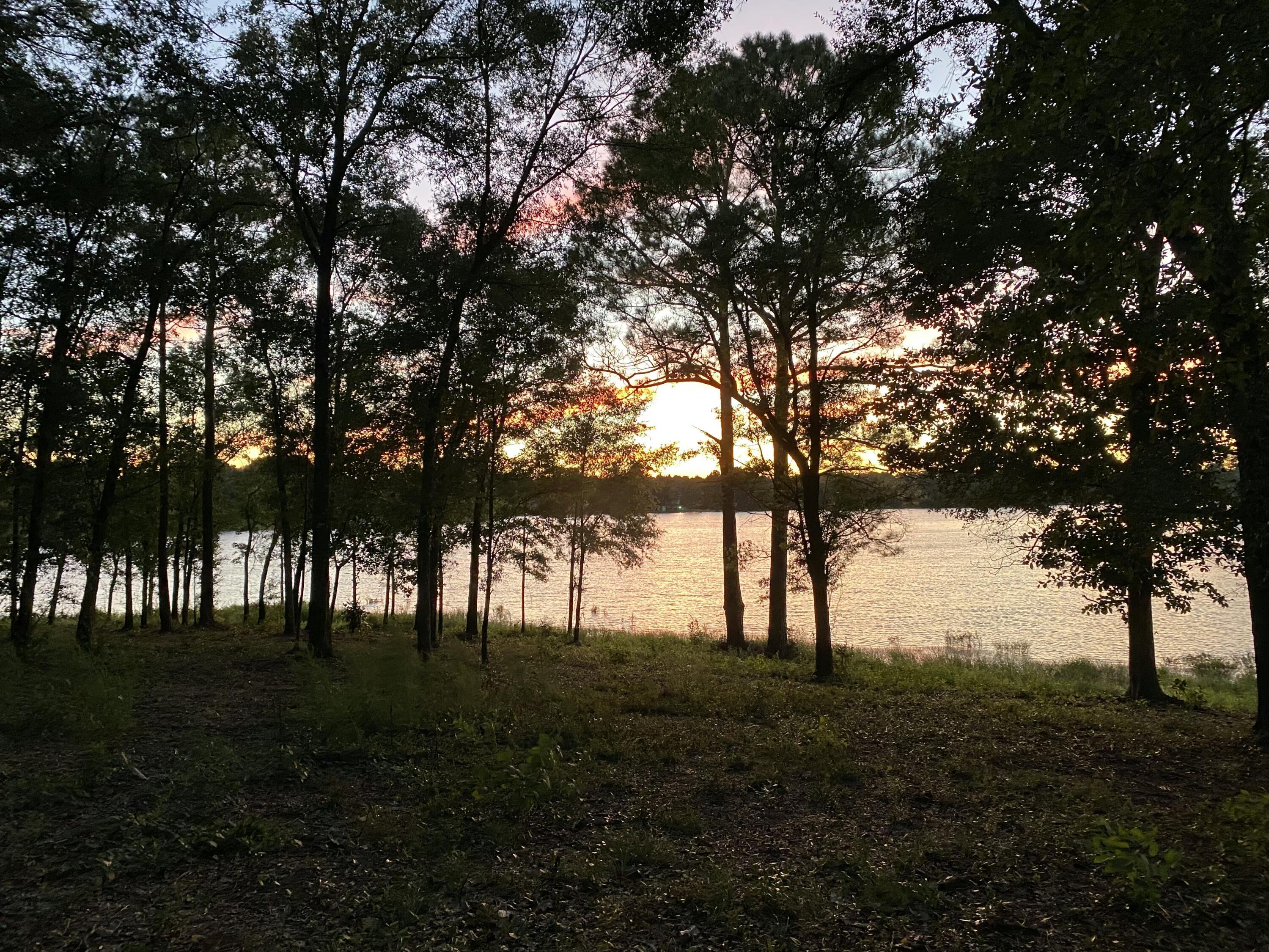 ONE OF A KIND!  this is the last big parcel left for sale on King Lake.  13.7 acres.  630 feet on highway 331.   1400 feet of waterfront on King Lake, a 450 acre +- trophy bass & bream fishing lake.  This parcel could be your dream come true home site or a smart land investment.  Zoning is Rural Village with a maximum density of 2 units per acre.   Rural Village zoning when a parcel is 5 acres in size or larger allows for RV Park, general store, fish camp, bait & tackle shop, riding or boarding stables, veterinary services and kennels.