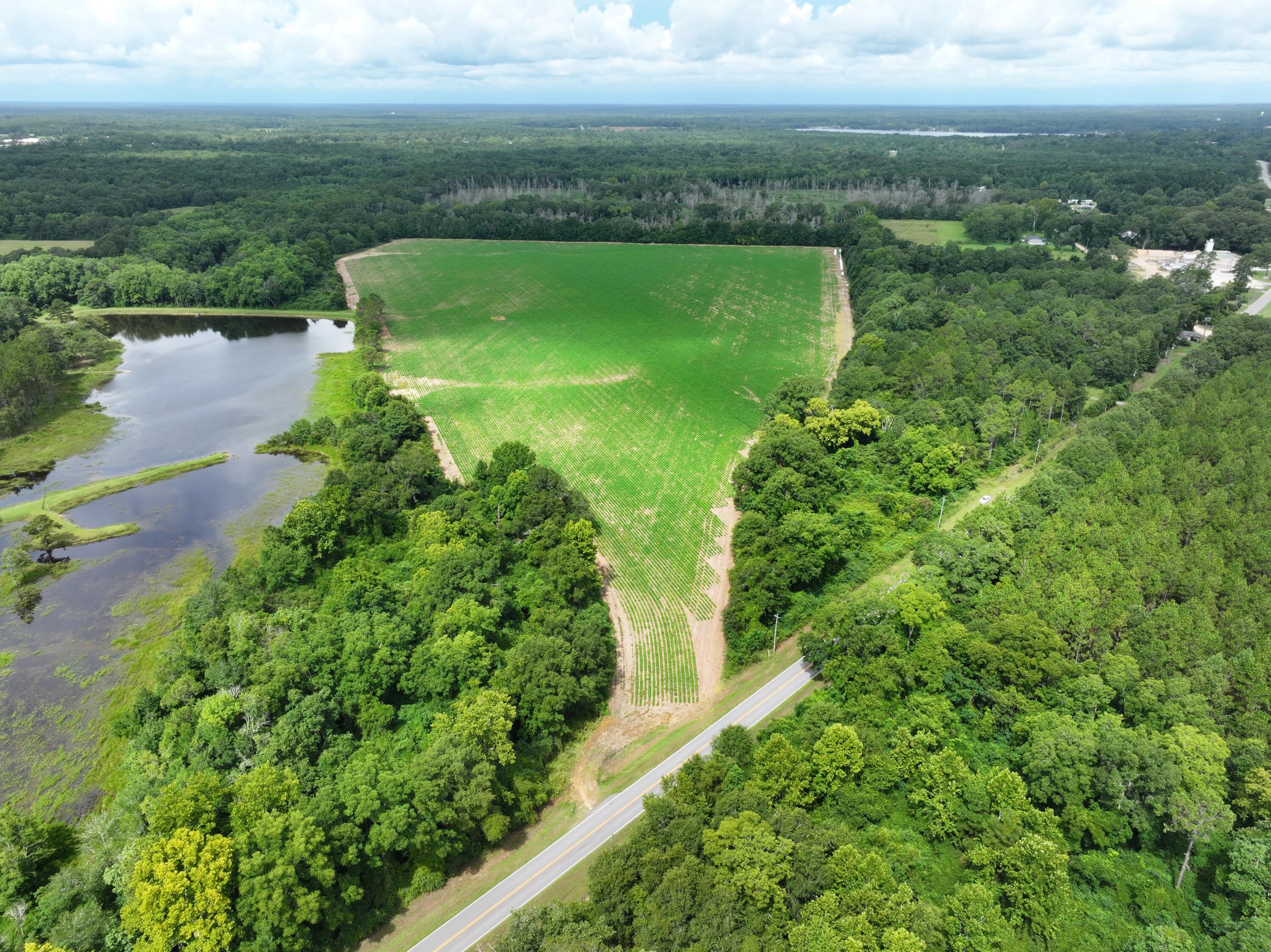 52 acres in North Walton County, this large property offers the opportunity to build your dream home, create your dream farm, and have room to raise cattle, horses, or all of the above. Located near Paxton and just a short distance from the Alabama state line, you'll have access to Lake Jackson and downtown Florala, both just a short drive away.
Whether you envision building a home in the beautiful countryside, establishing a working farm, or investing in agricultural land, this property offers the potential to make it your own.
The property is already cleared and is currently leased for crop production, making it ready for your plans or providing an opportunity for continued agricultural use.
The sale includes two connected parcels.