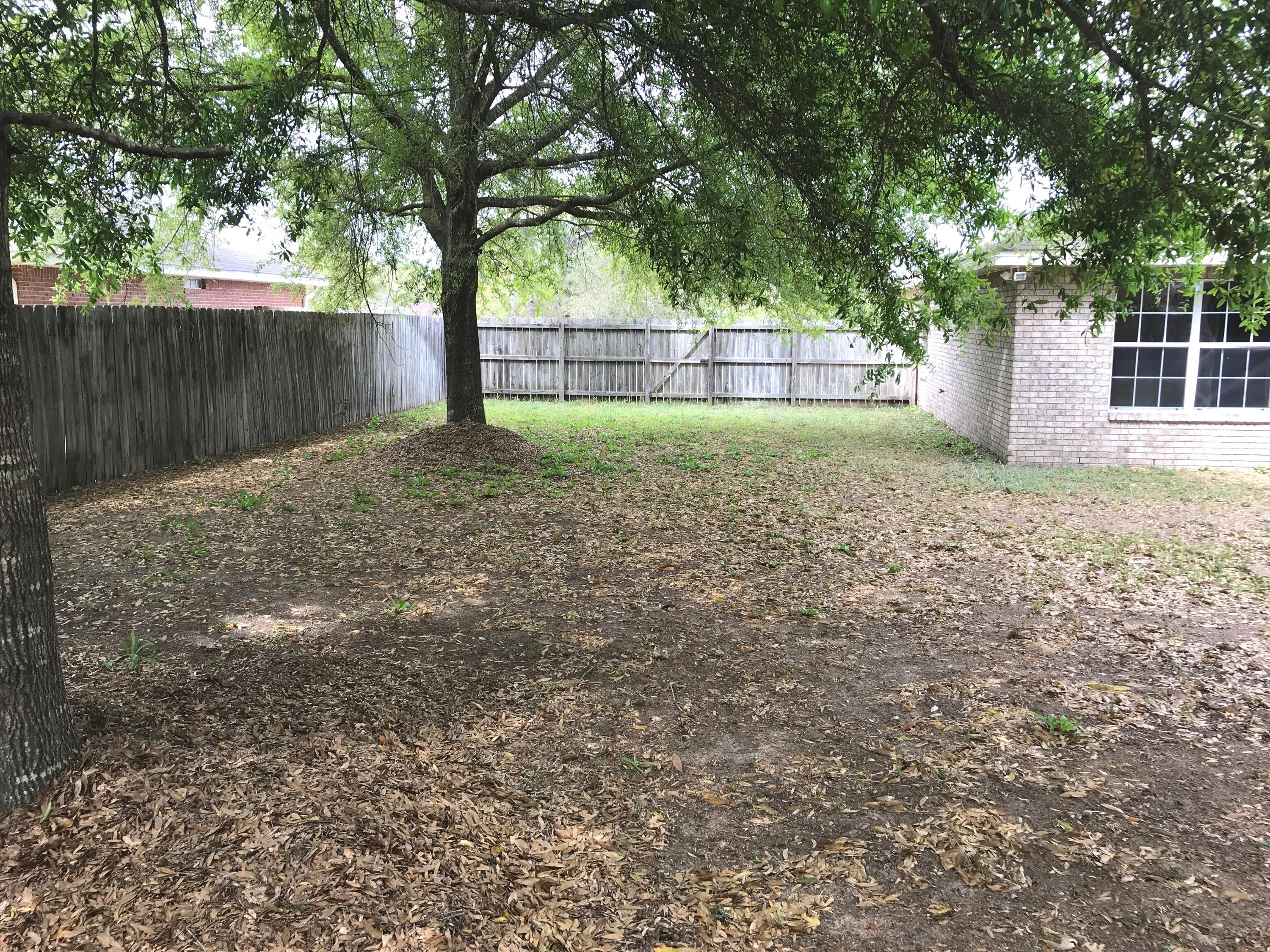 Tew Ave - Residential